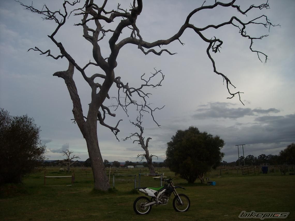 Photo 1925846