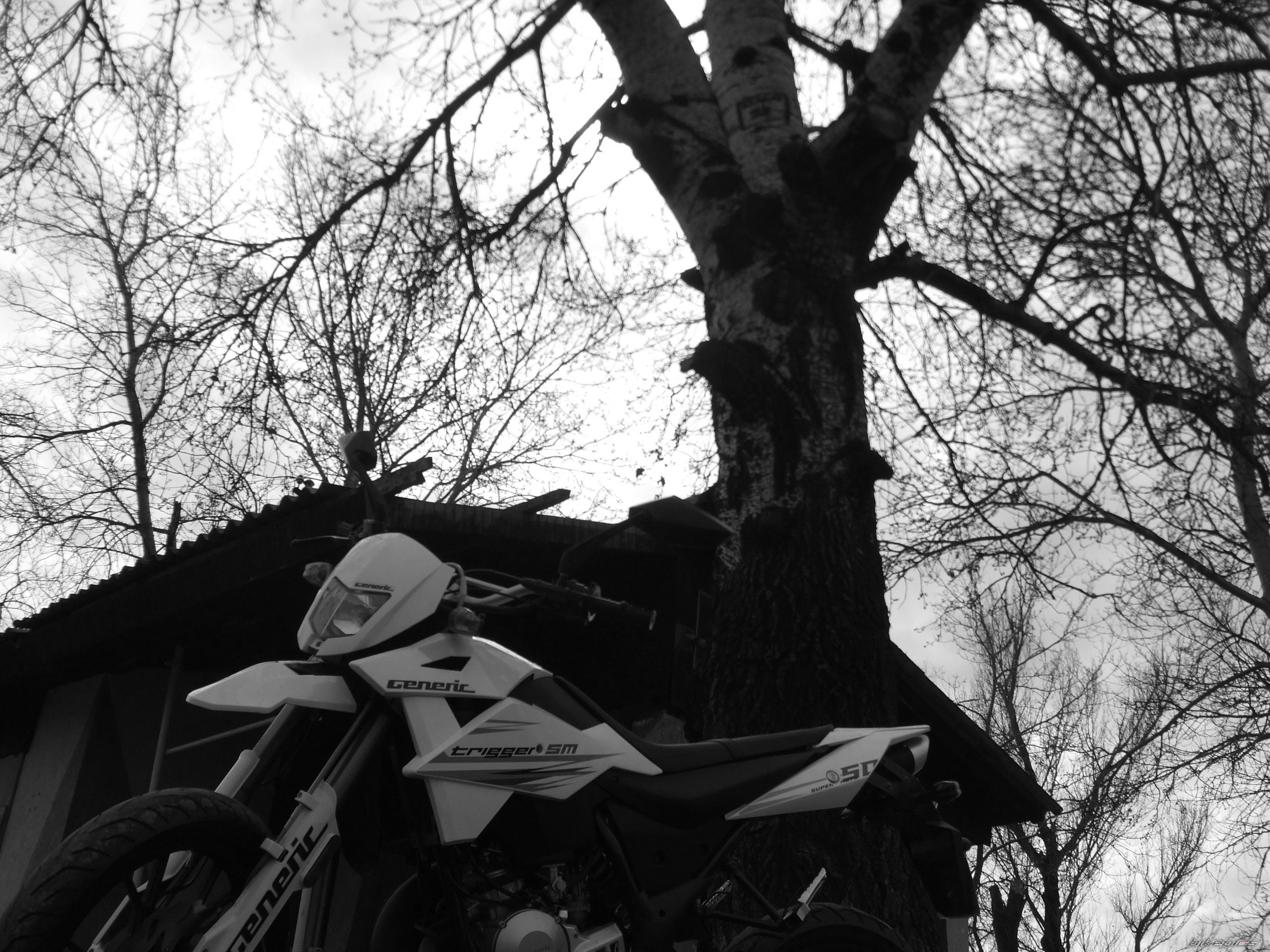 Photo 1926163