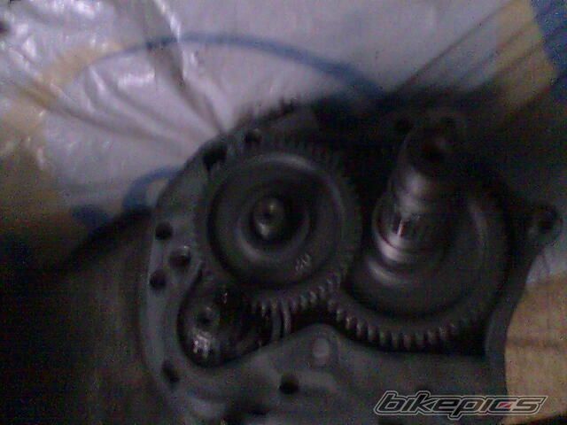 Photo 1926539