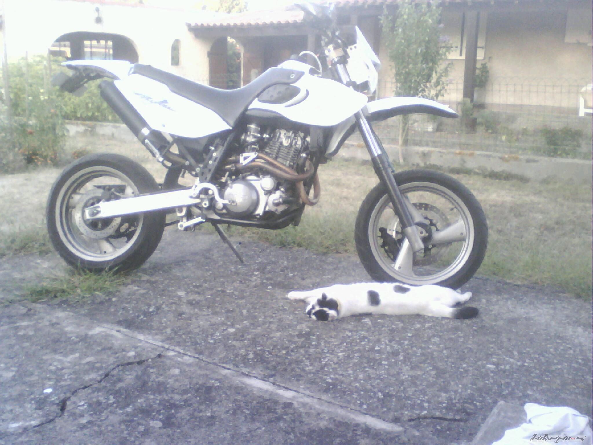 Photo 1926588