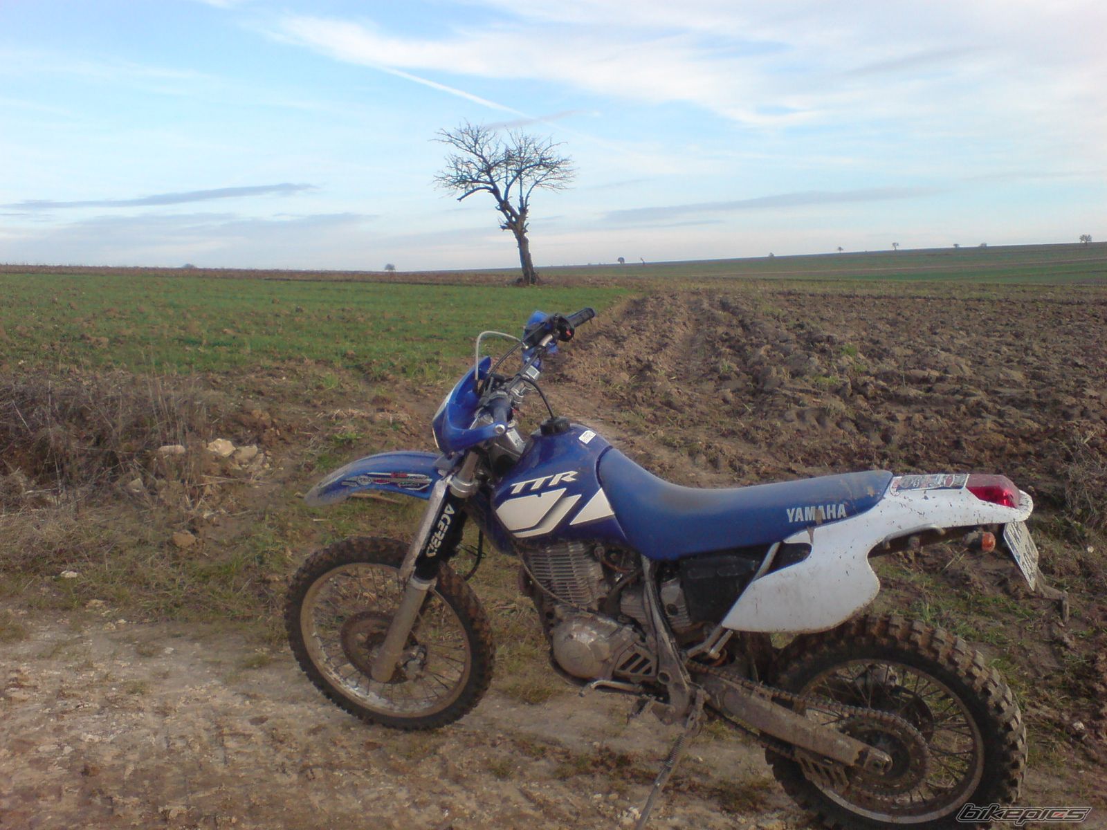 Bike Photo 1927175