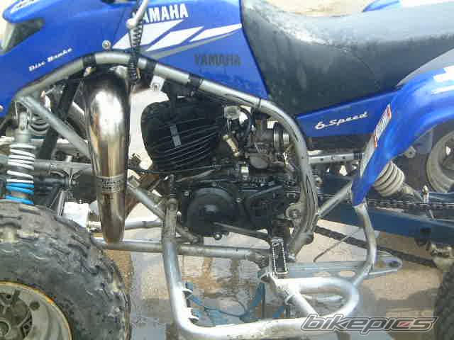 Photo 192732