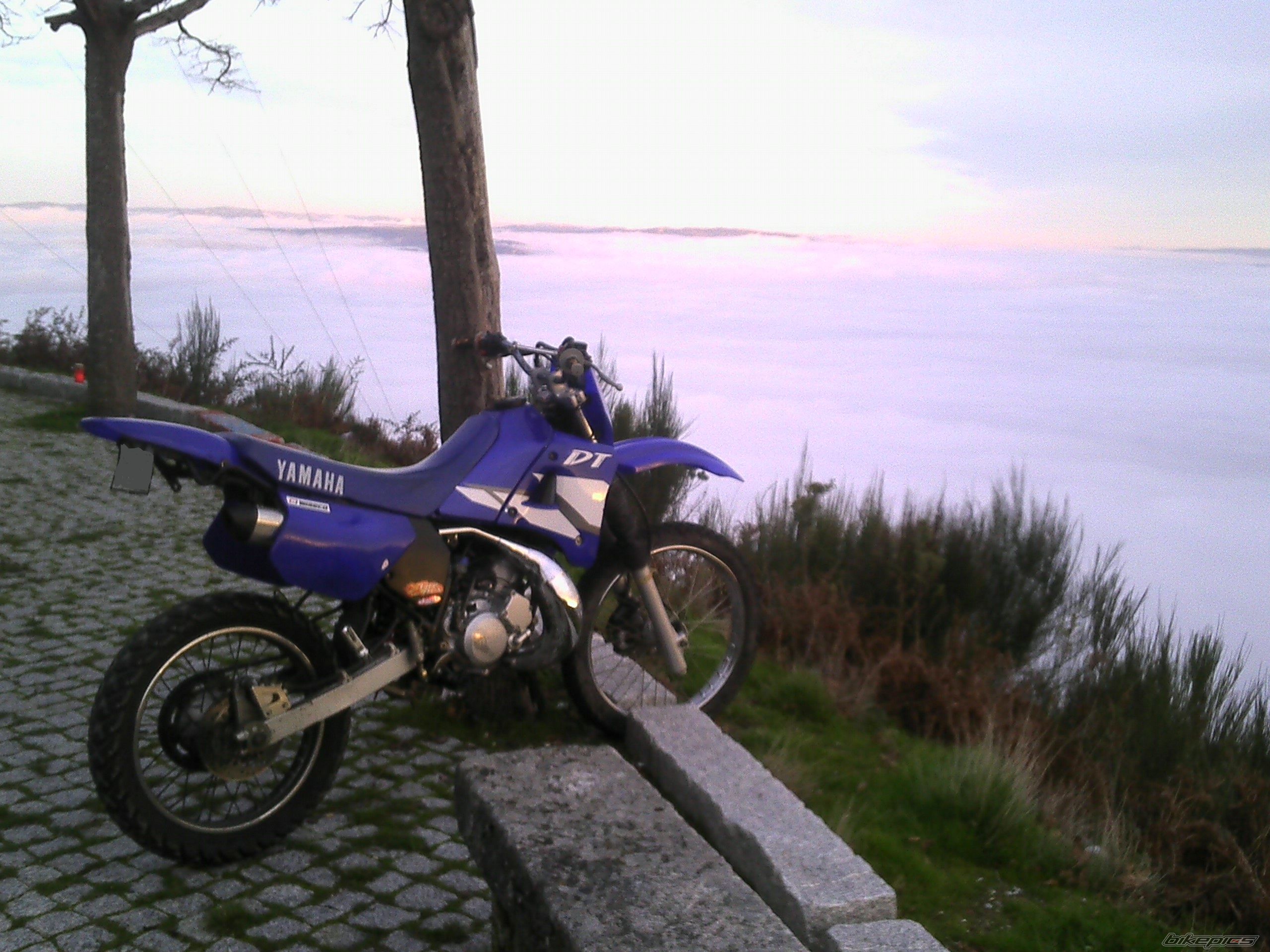 Photo 1927728
