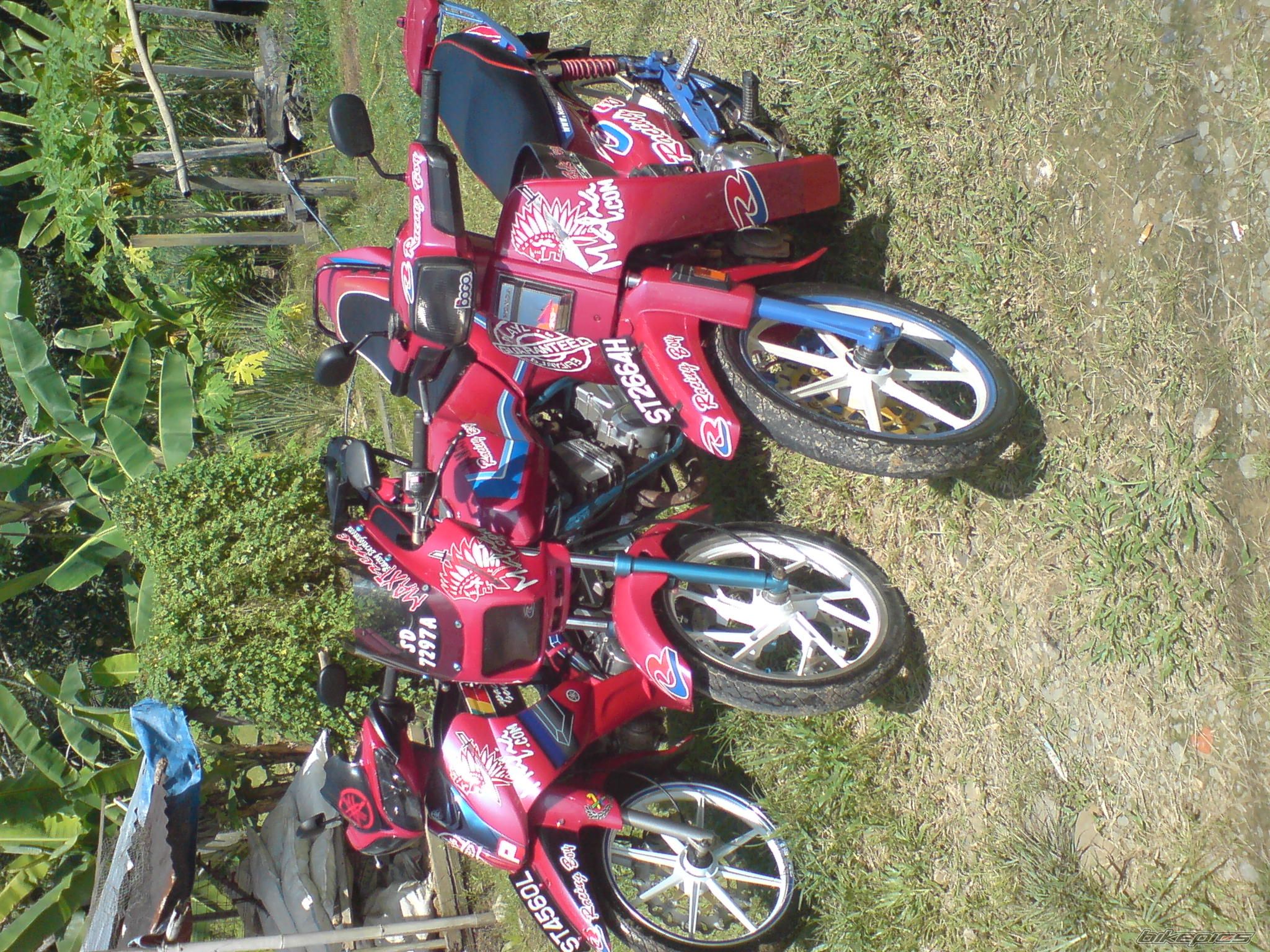 Photo 1927769