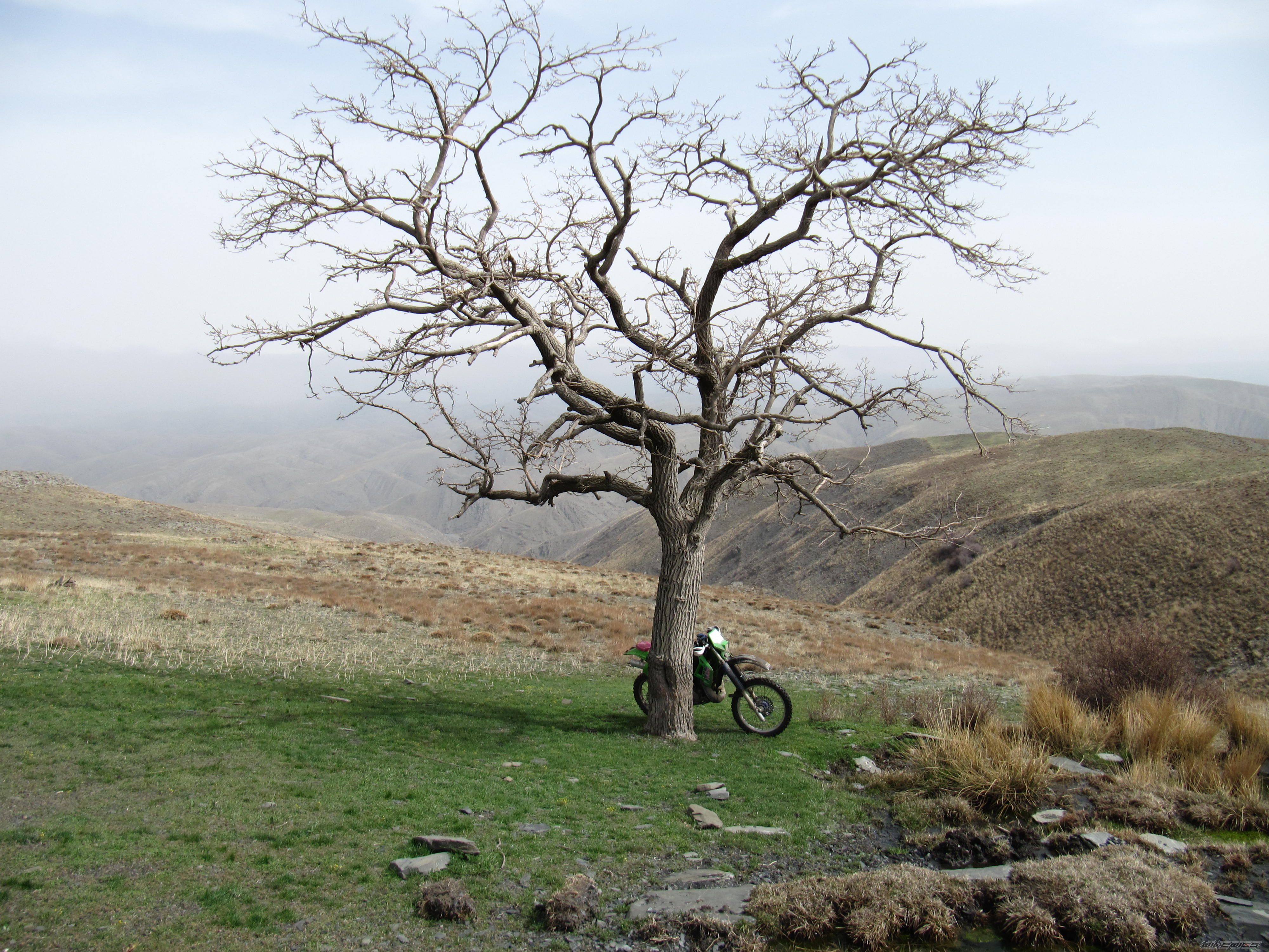 Bike Photo 1927880