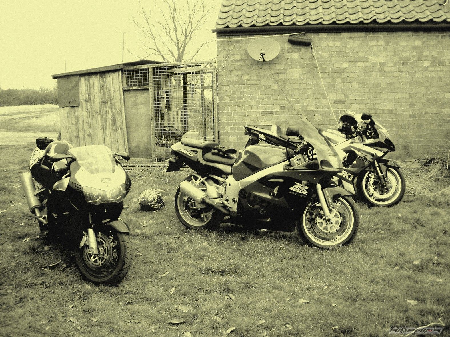 Bike Photo 1928129