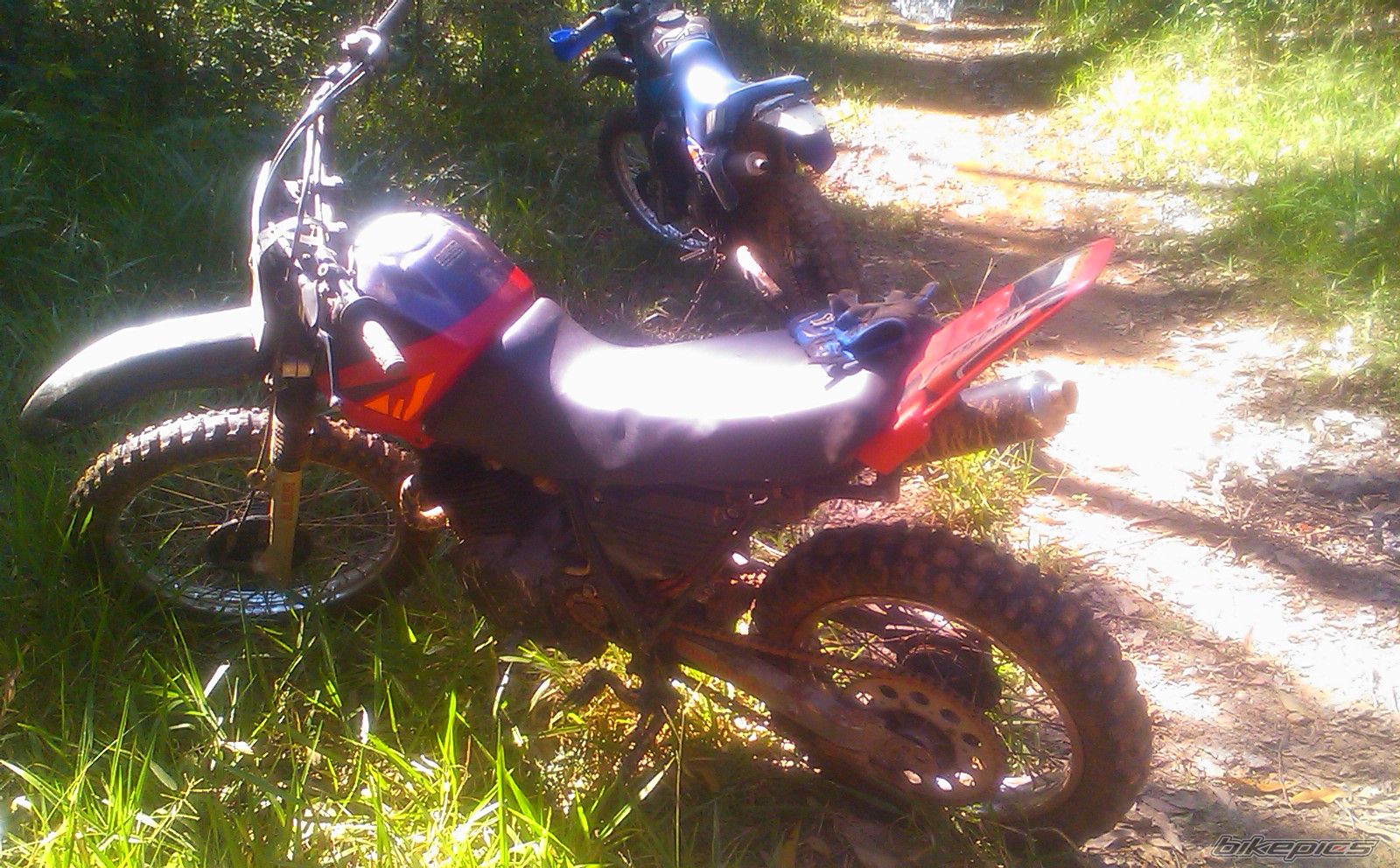 Photo 1928695