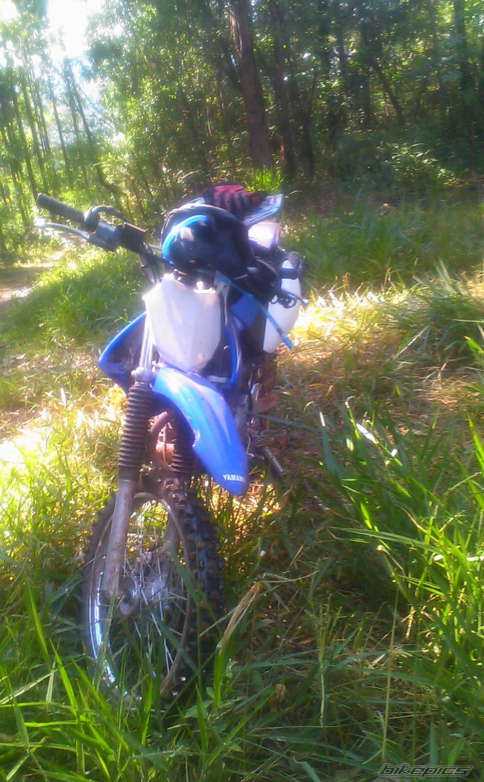 Photo 1928706