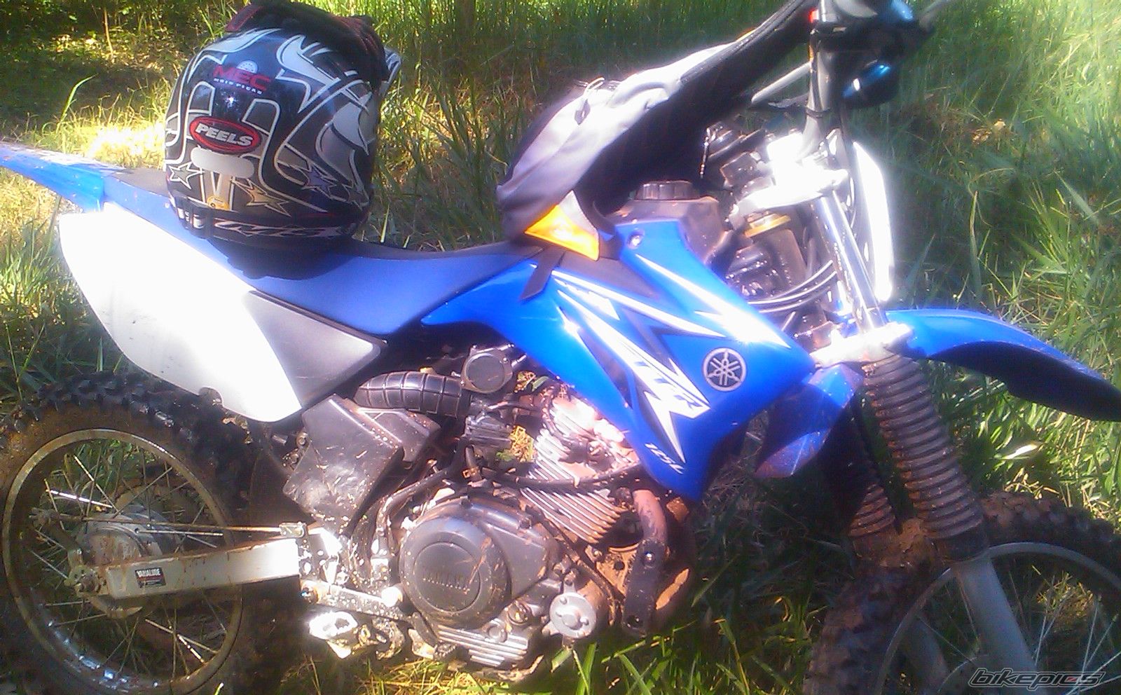 Photo 1928708