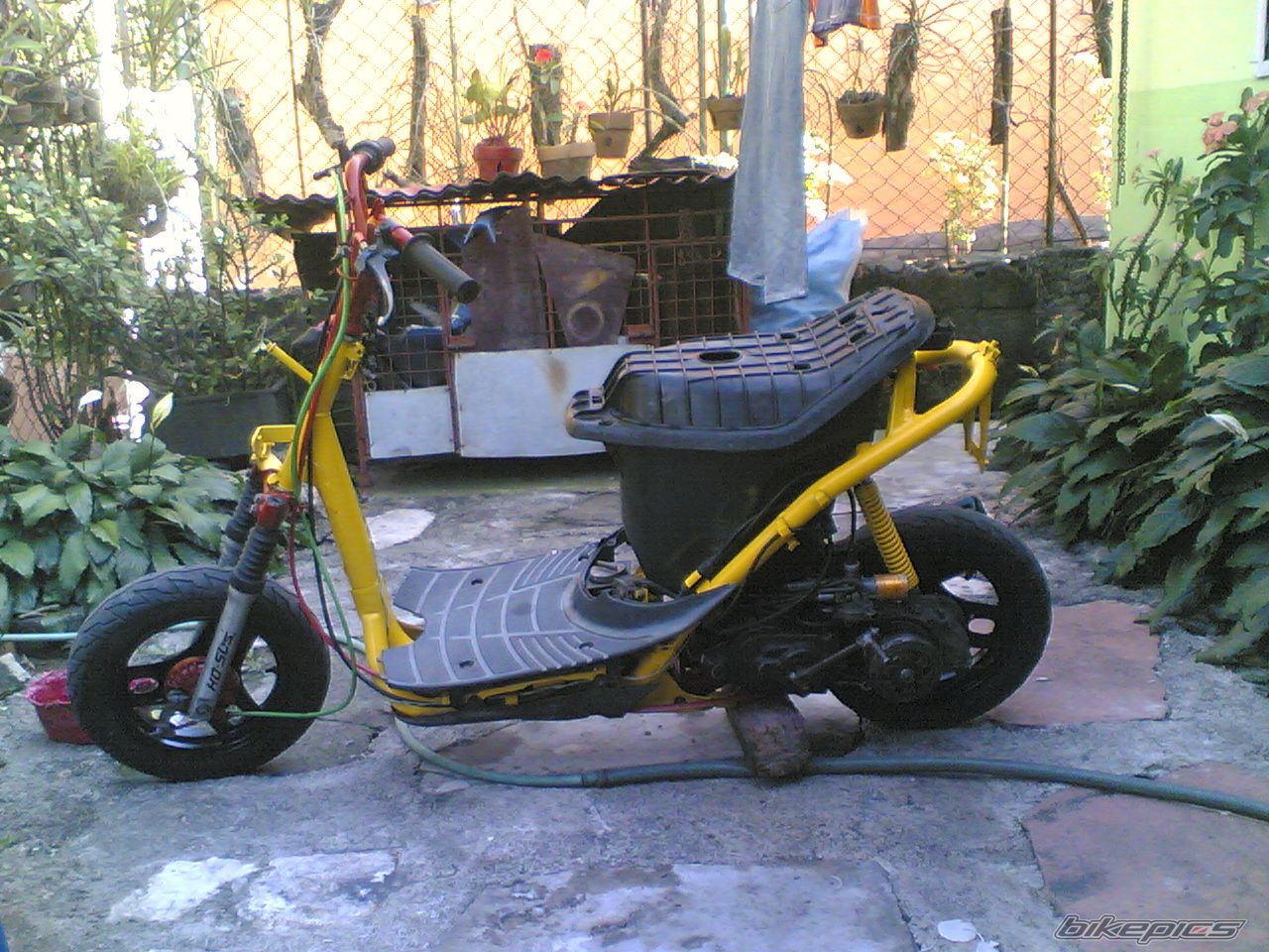 Photo 1928773
