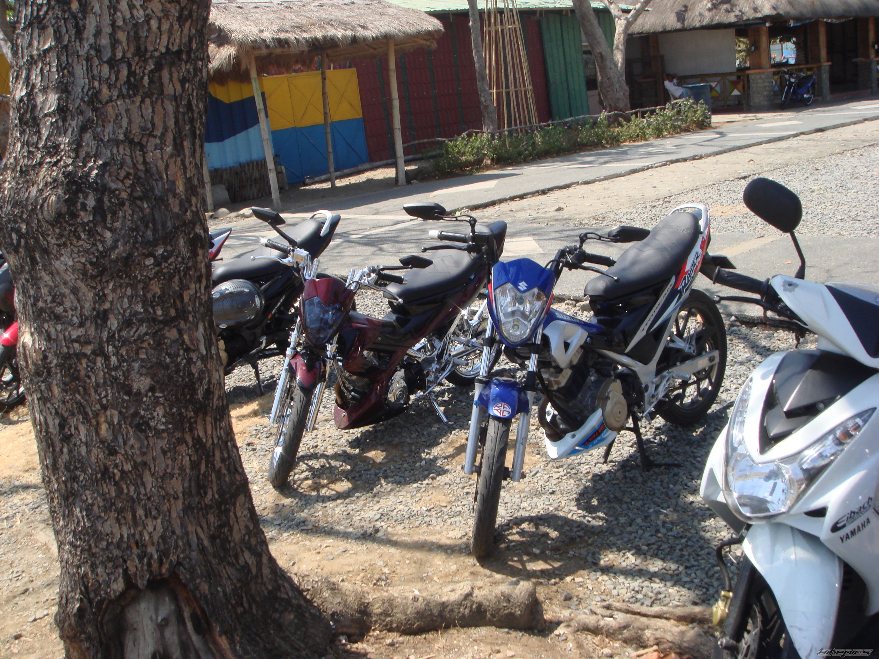 Bike Photo 1928848