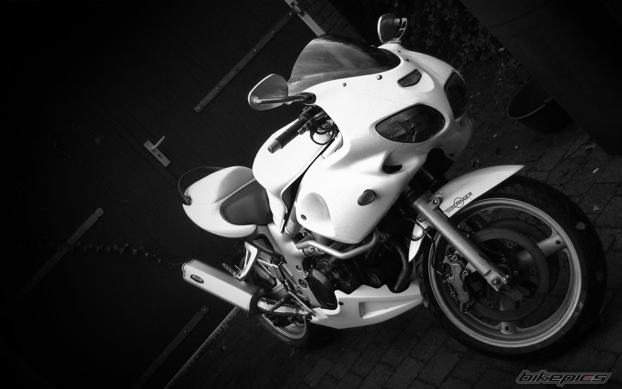 Photo 1928877