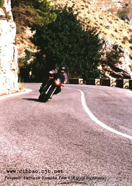 Photo 19295