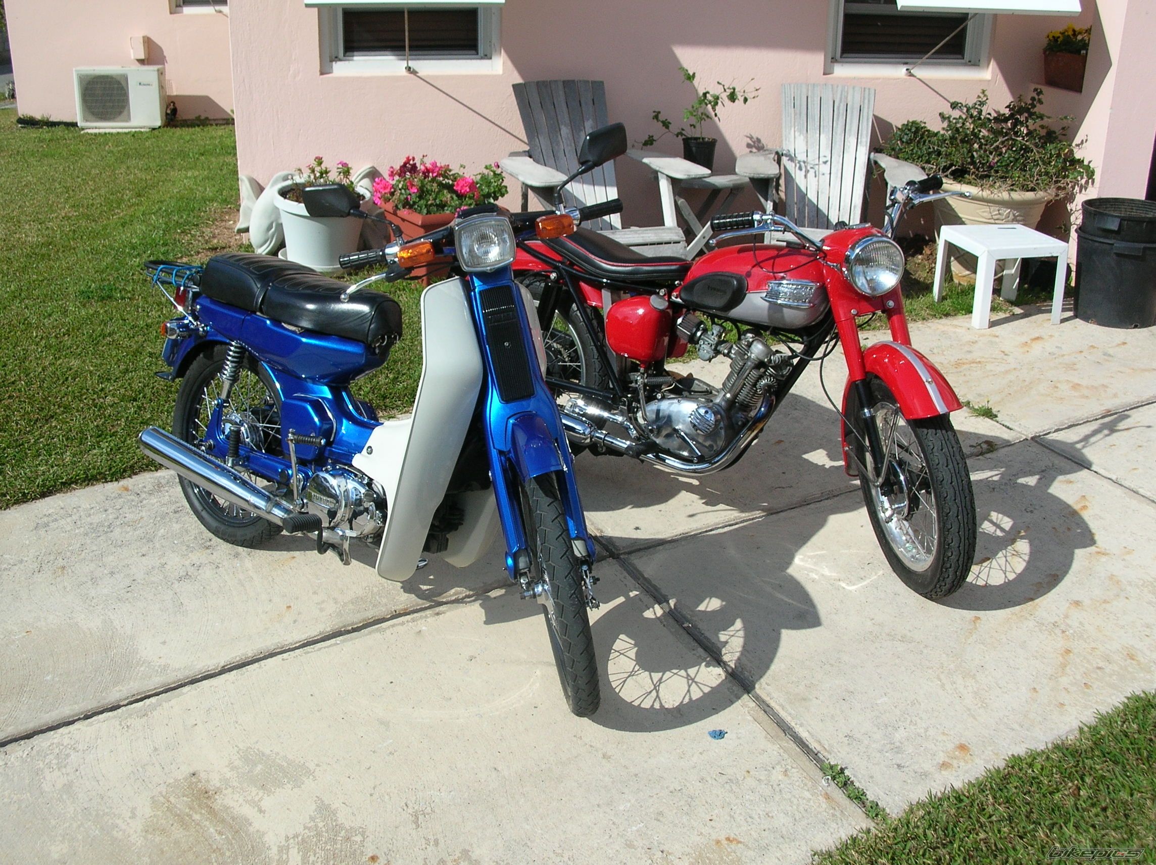 Photo 1929655