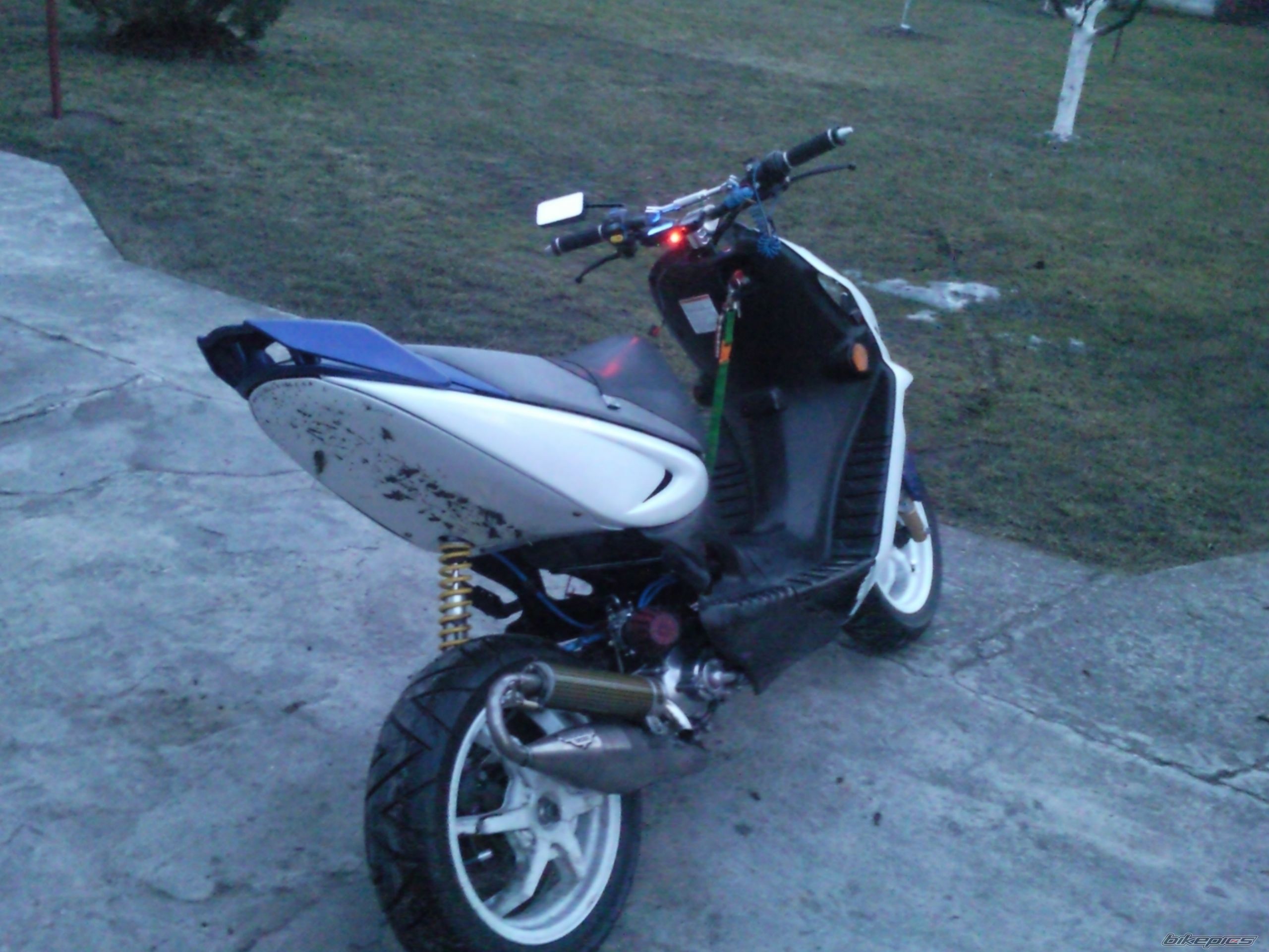 Photo 1929787
