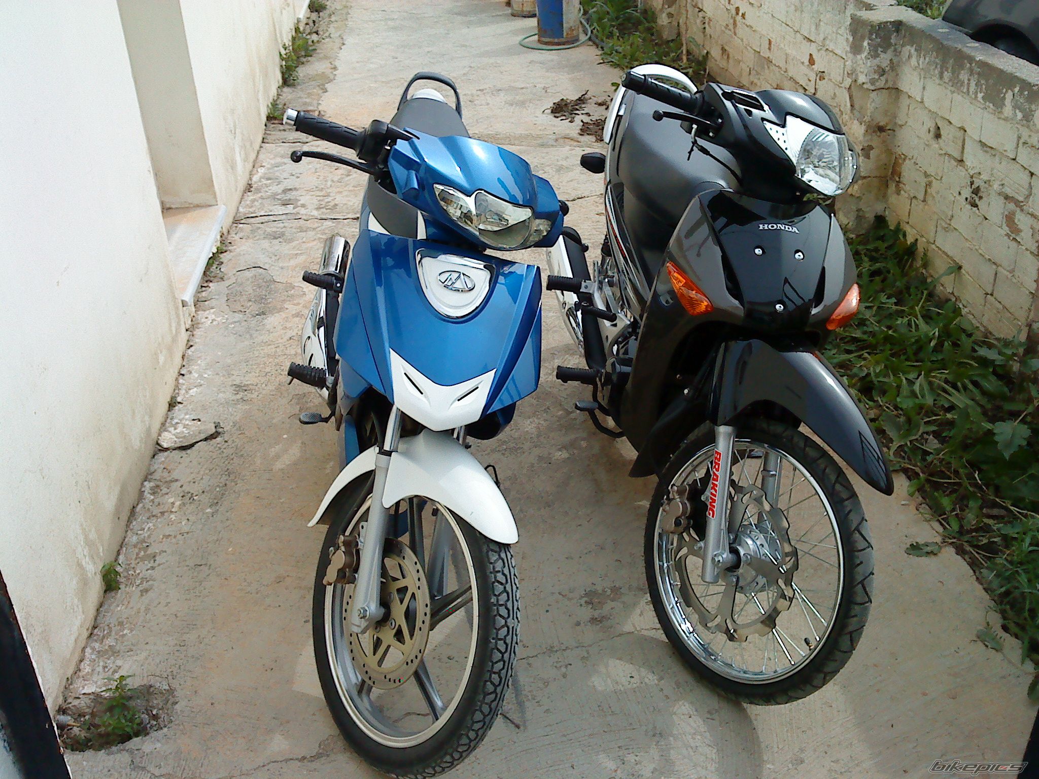 Photo 1929857
