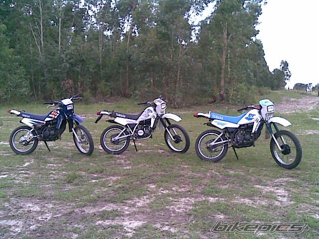 Photo 1929975