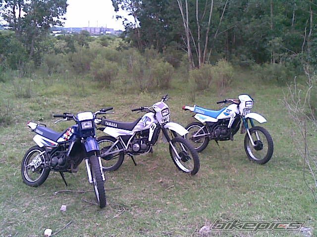 Photo 1929977