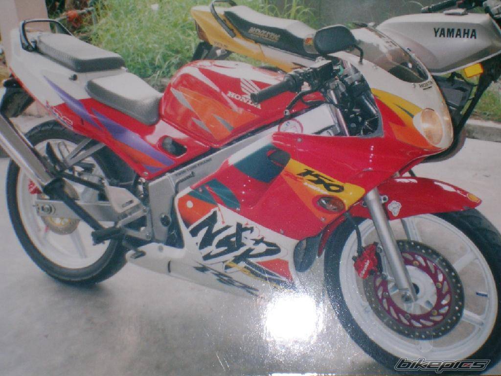 Photo 193001