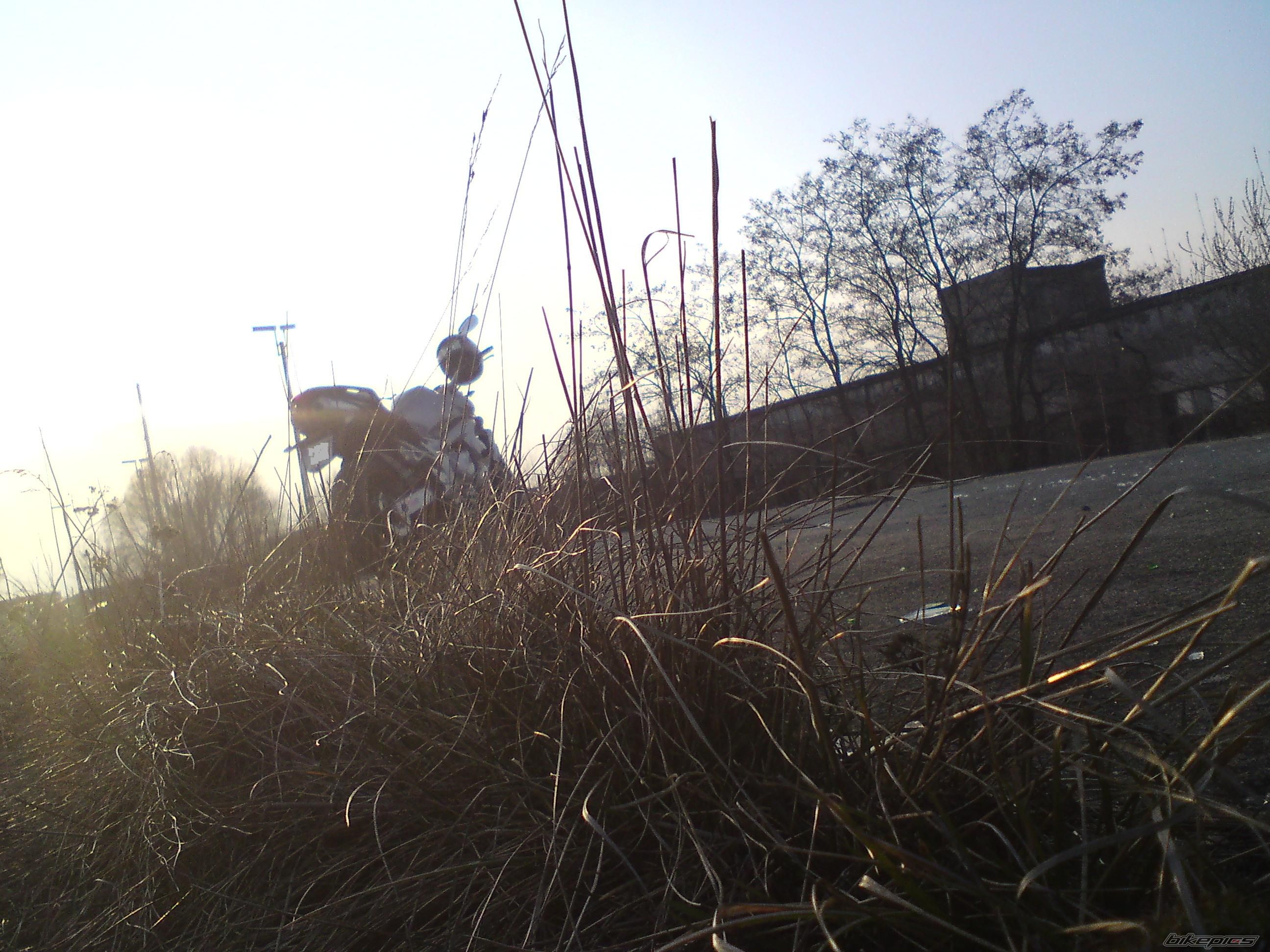 Bike Photo 1930273