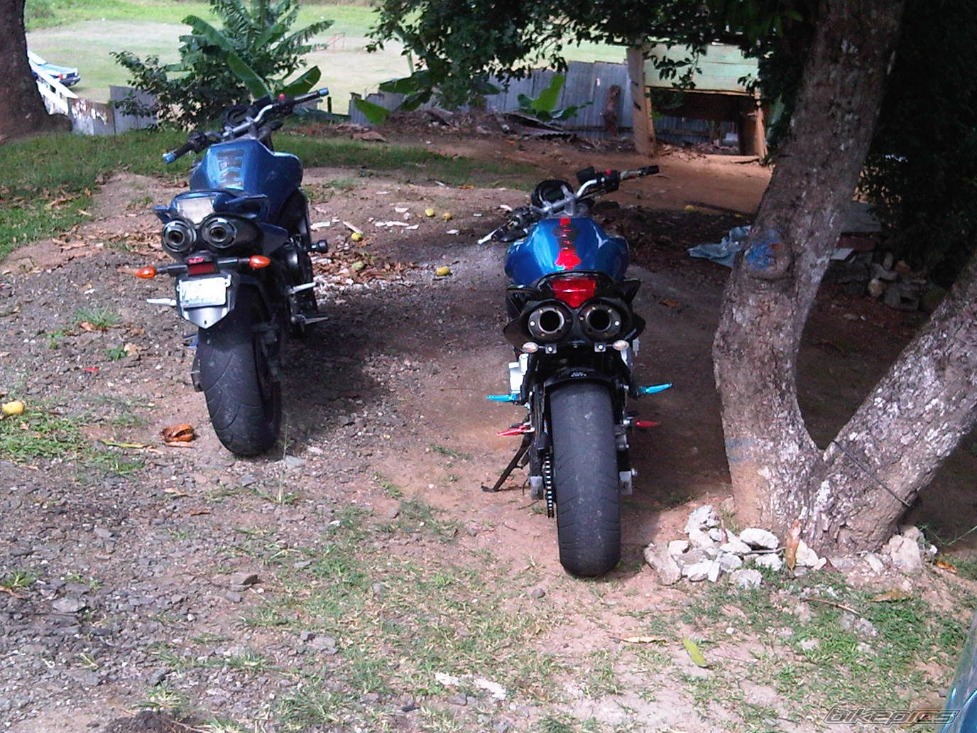 Photo 1930281