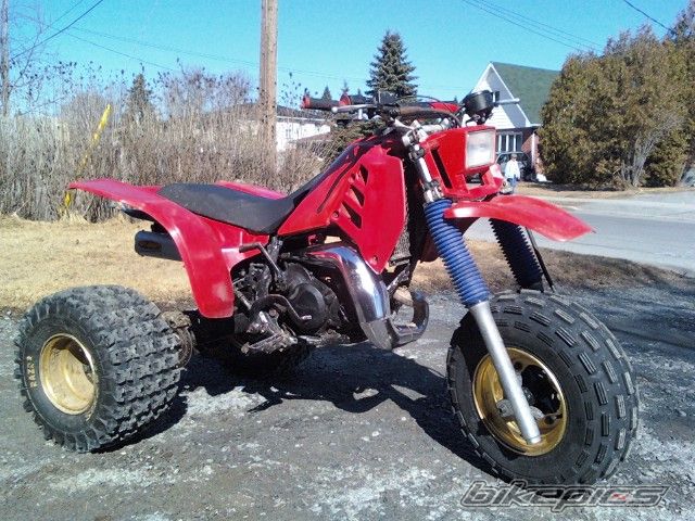 Photo 1930400
