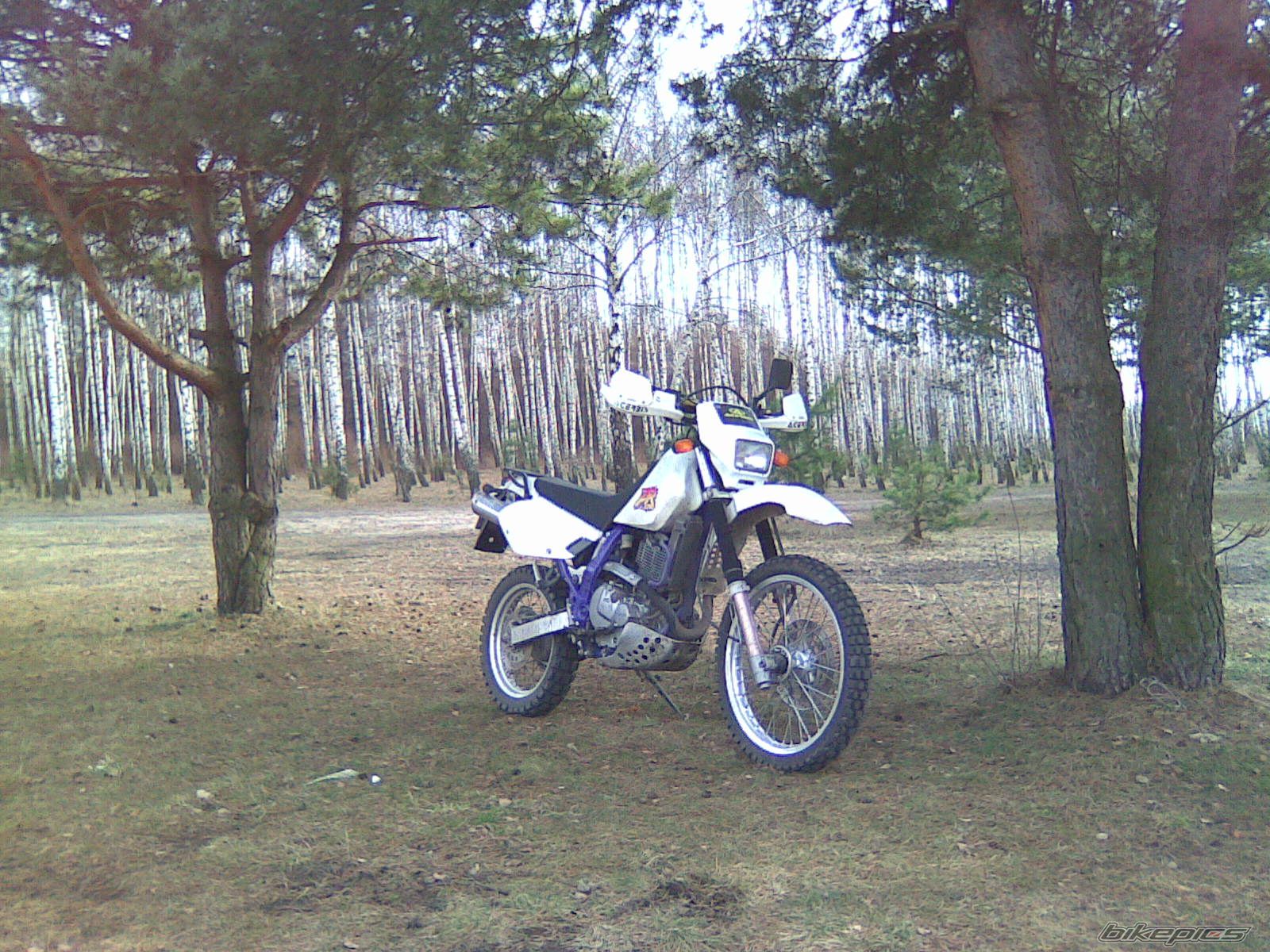 Photo 1930496