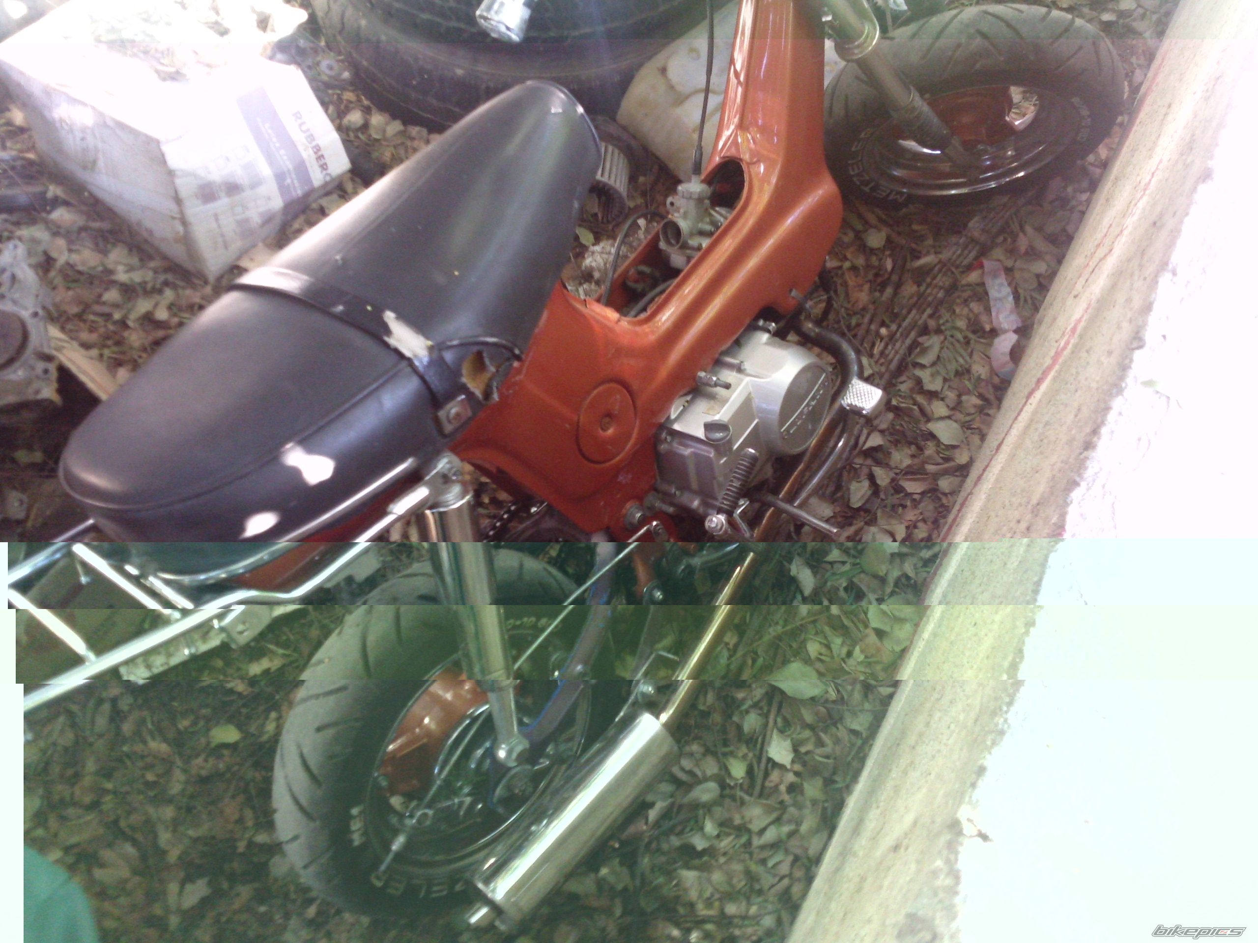 Photo 1930507