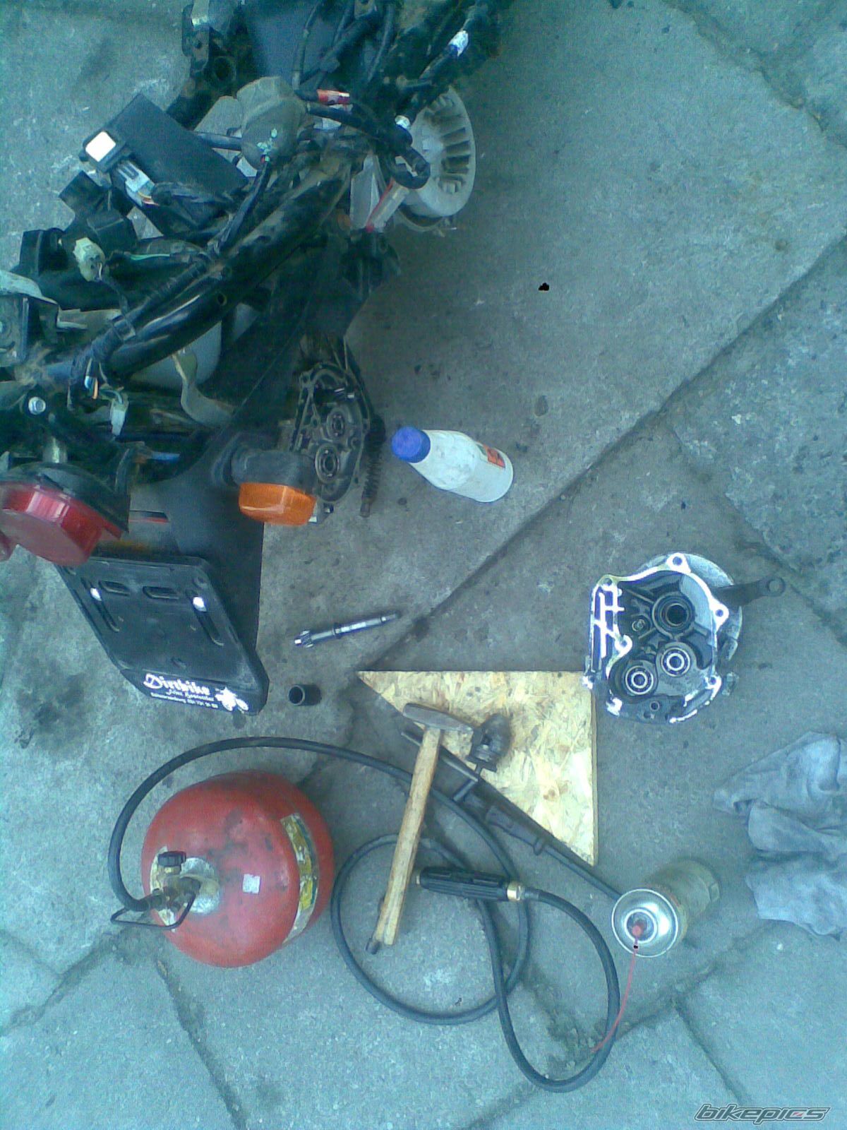 Photo 1931228