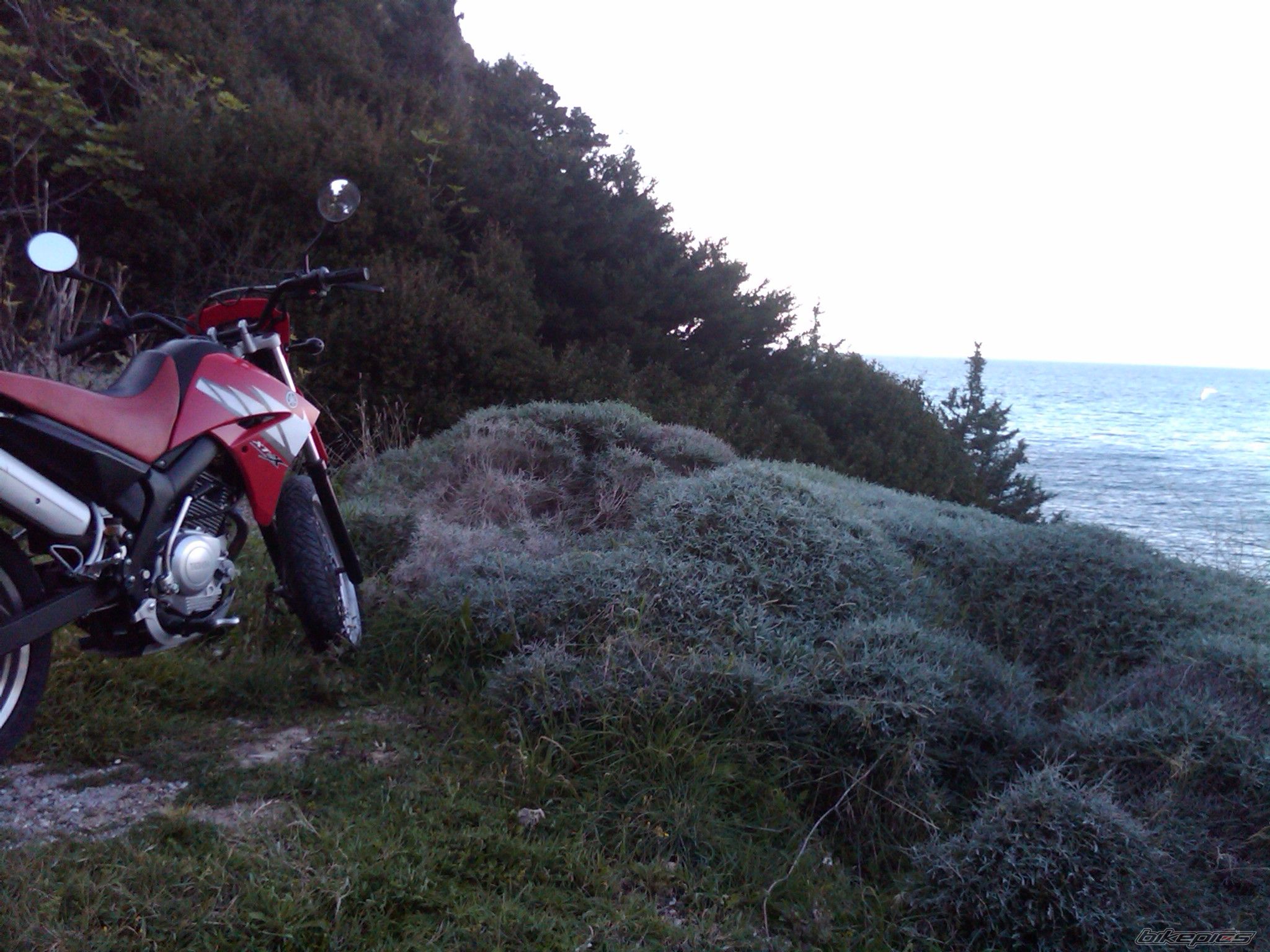 Photo 1931372