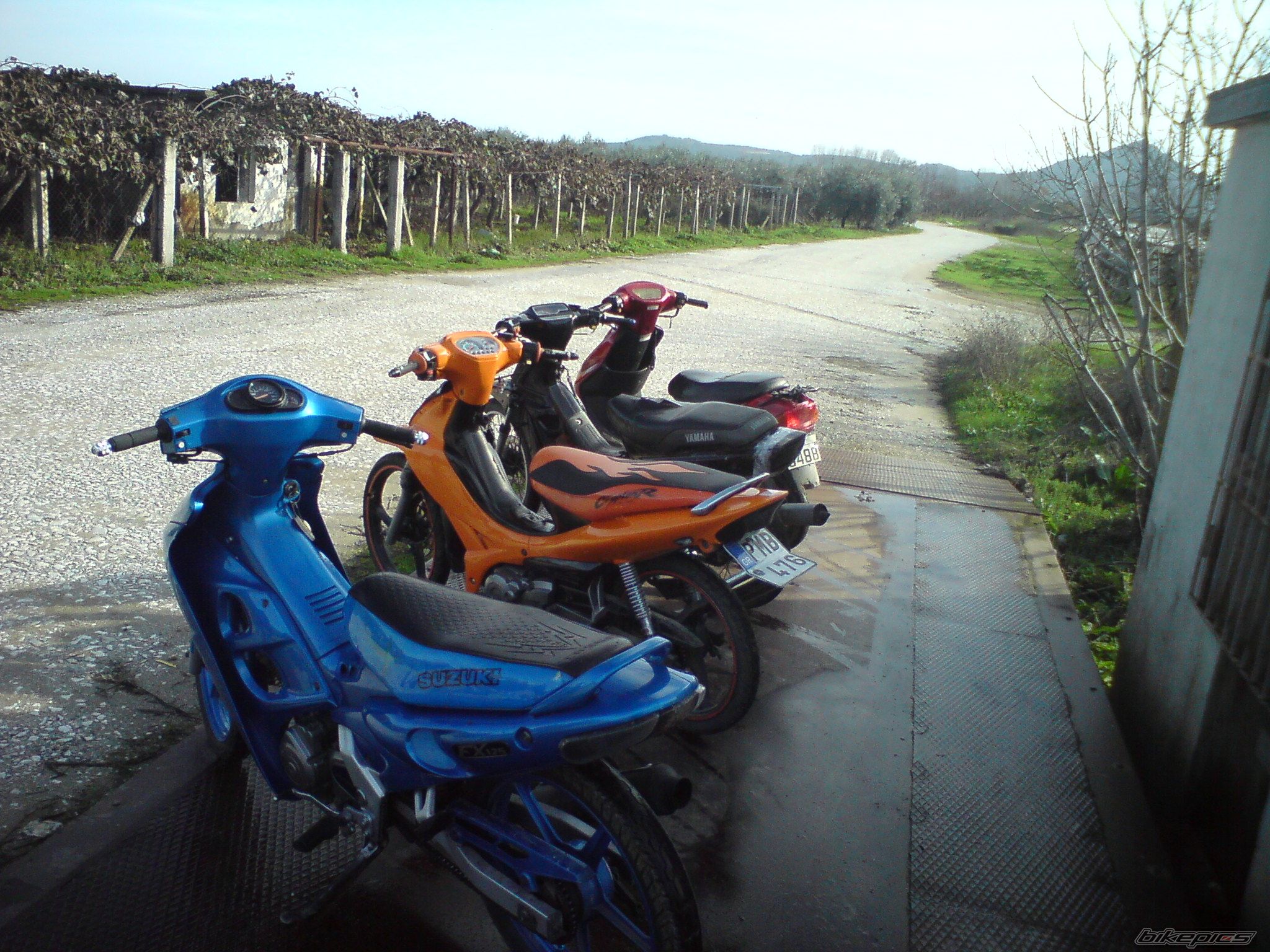 Bike Photo 1931427