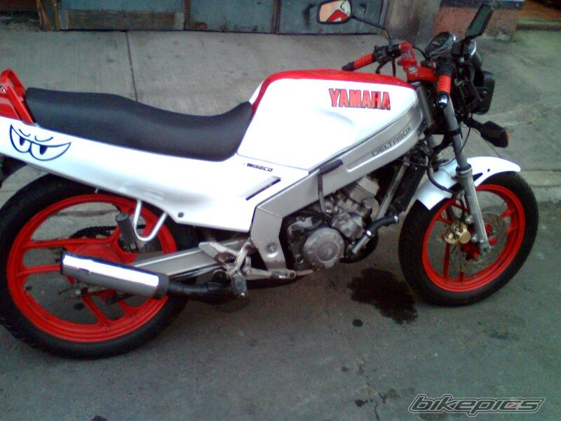 Bike Photo 1931497