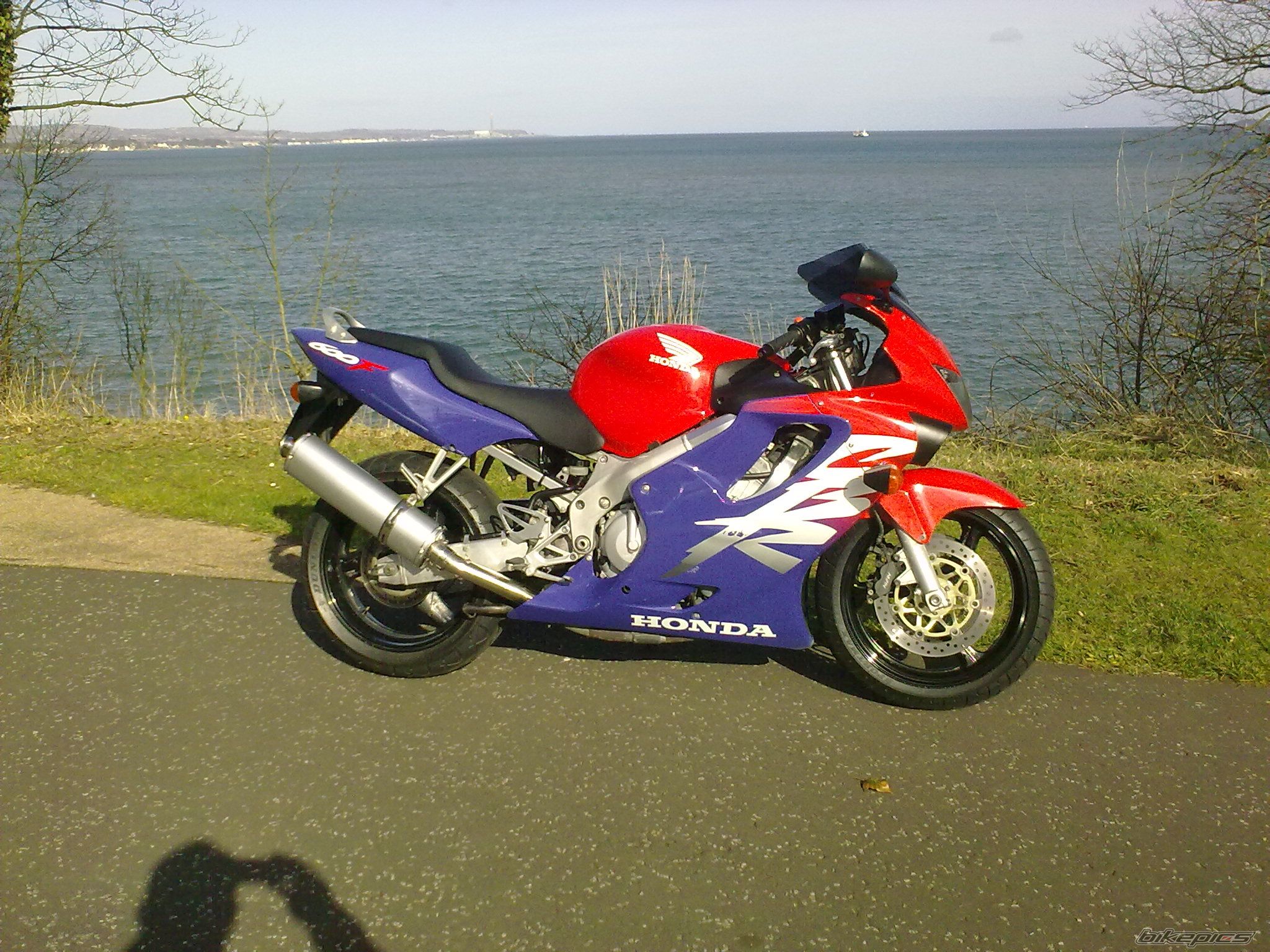 Bike Photo 1931702