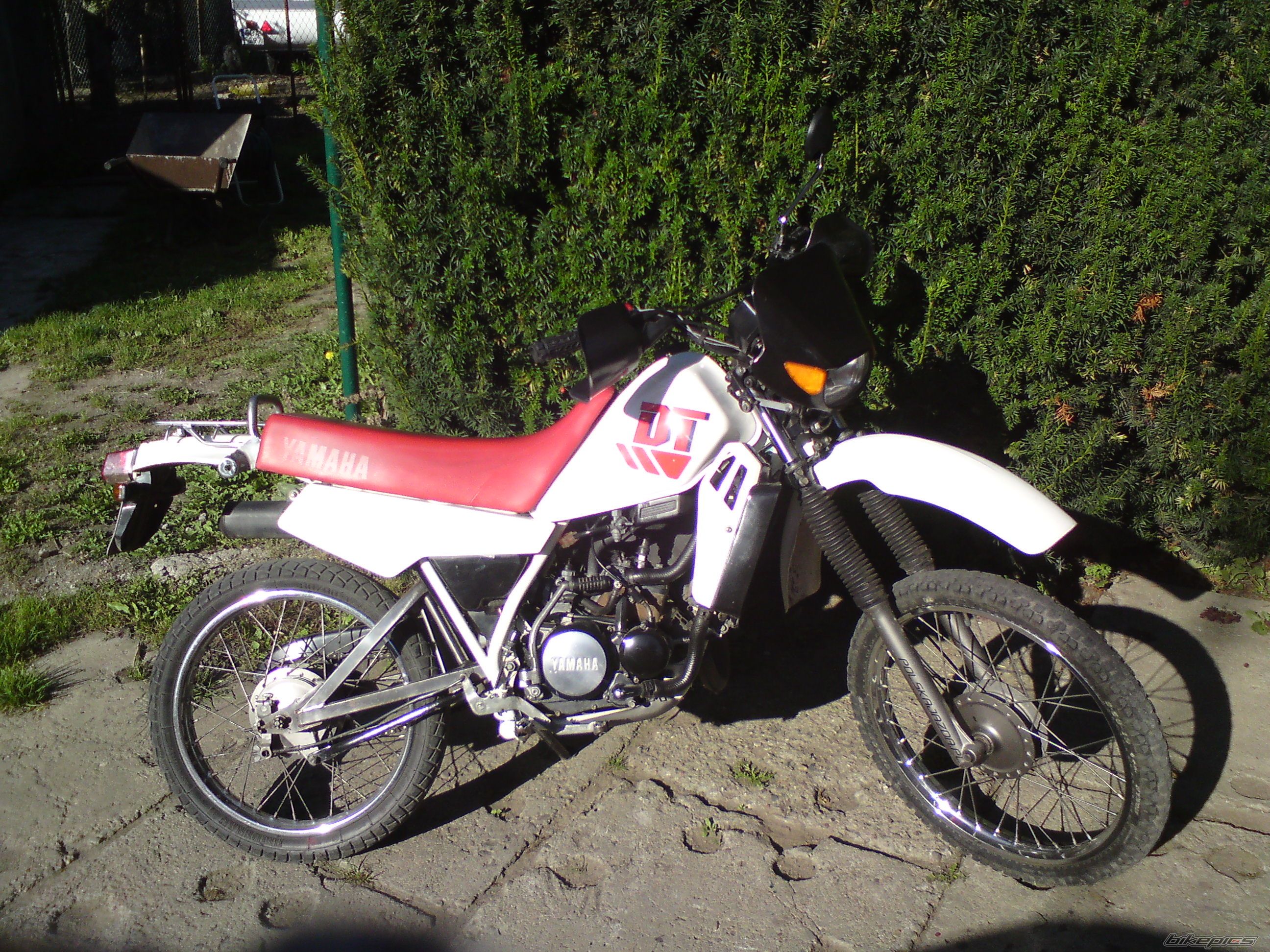 Photo 1931769