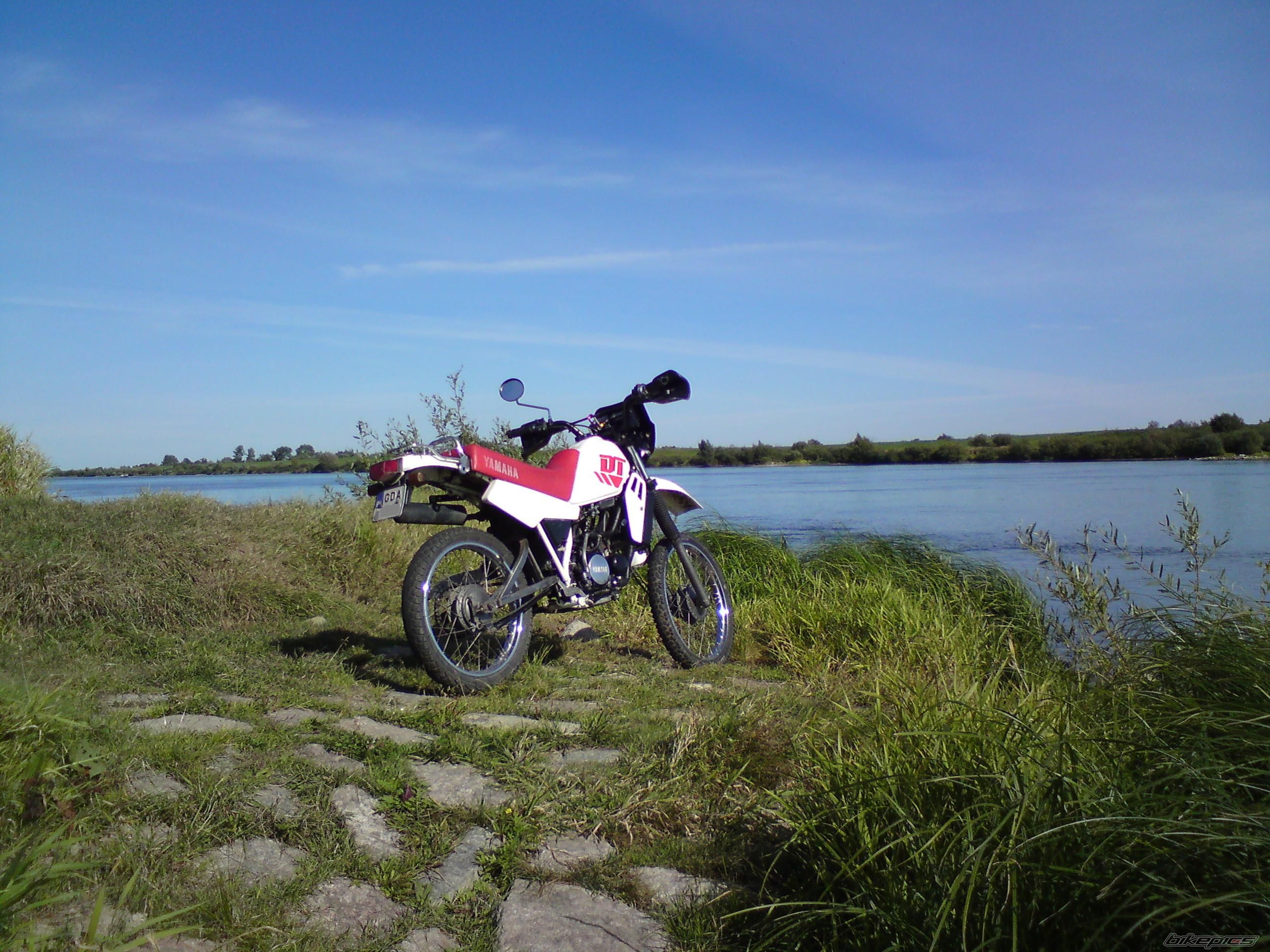Photo 1931773