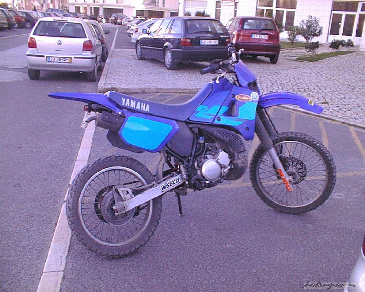 Photo 19321