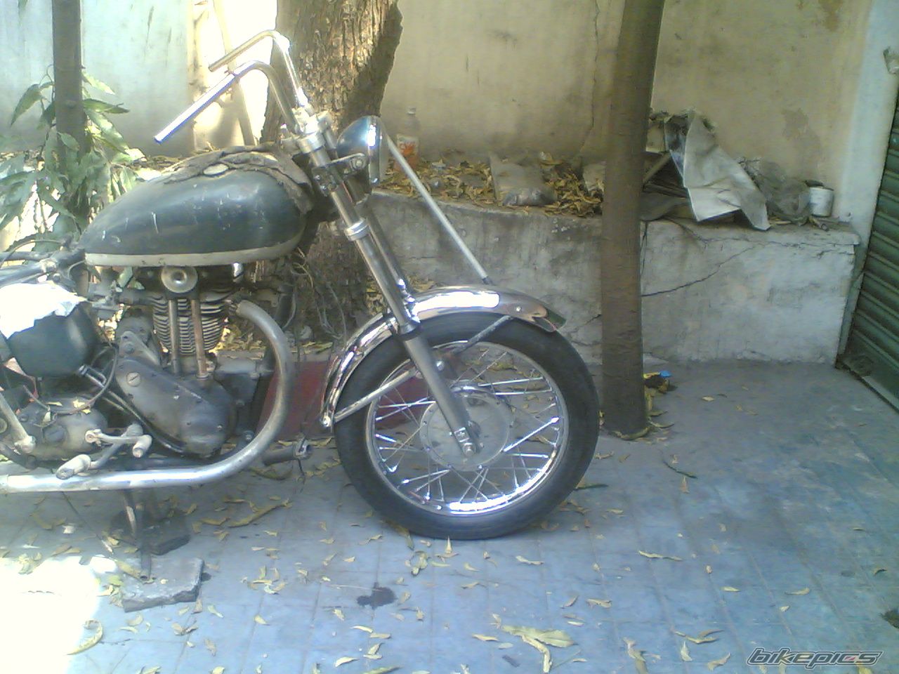 Photo 1932135