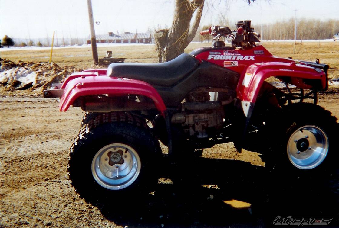 Photo 193237