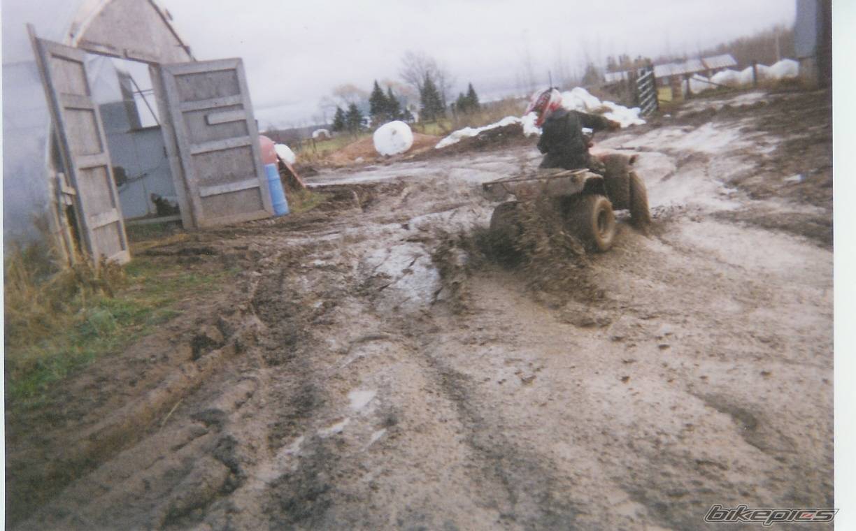 Photo 193239