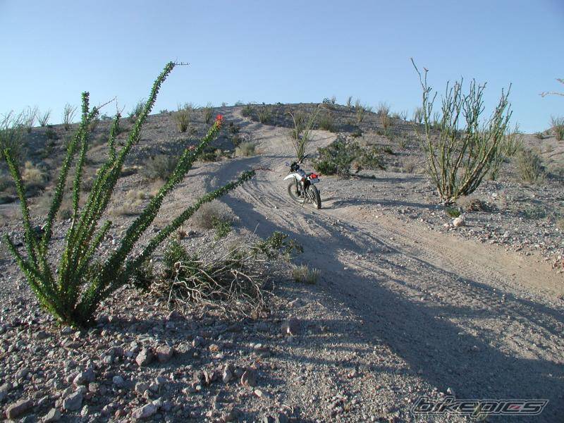Bike Photo 193245