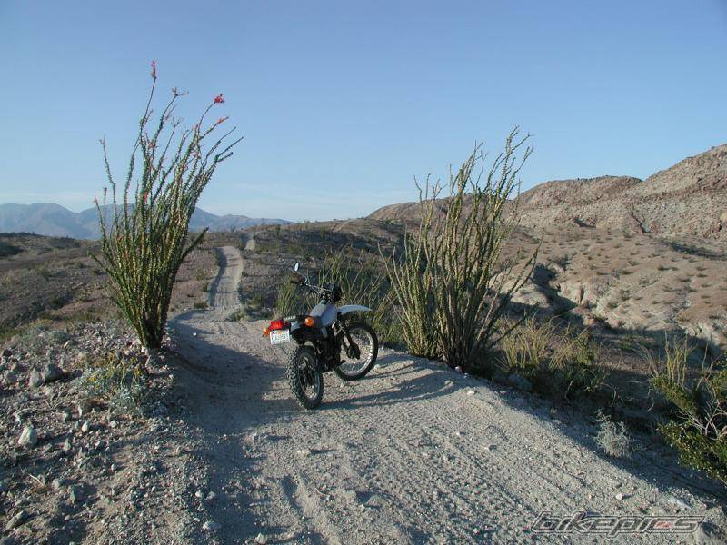 Bike Photo 193246