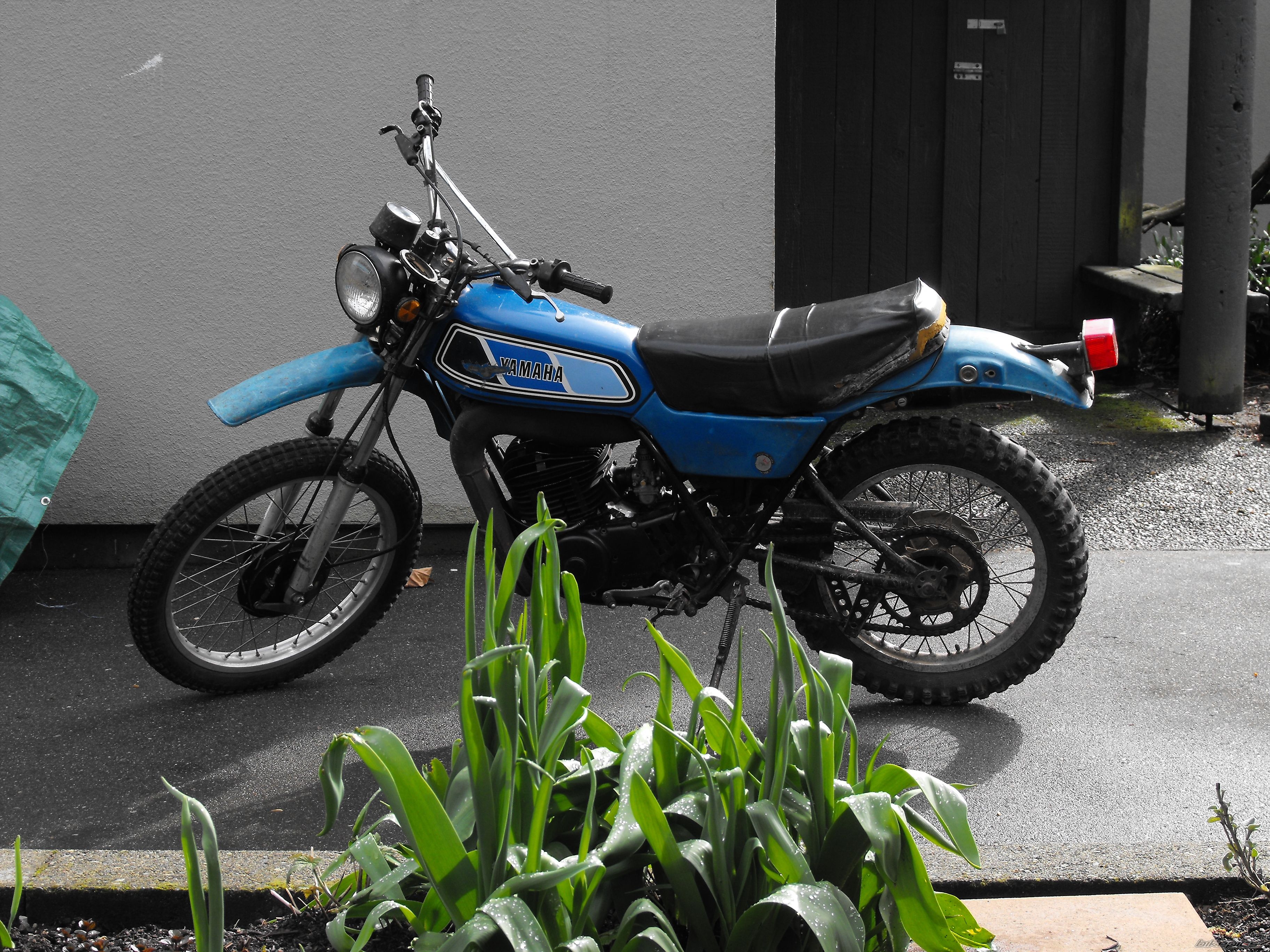 Photo 1932516