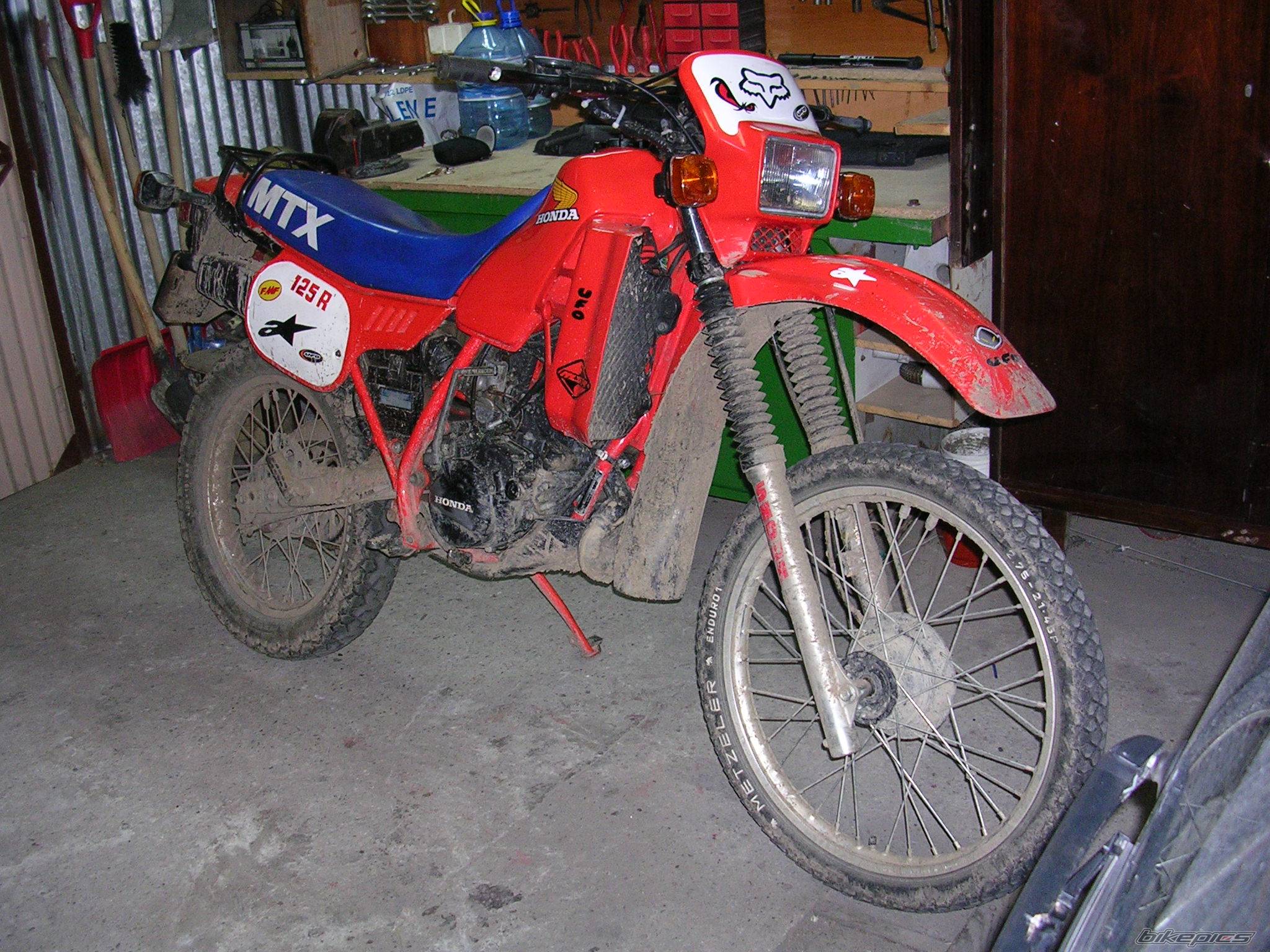 Photo 193276