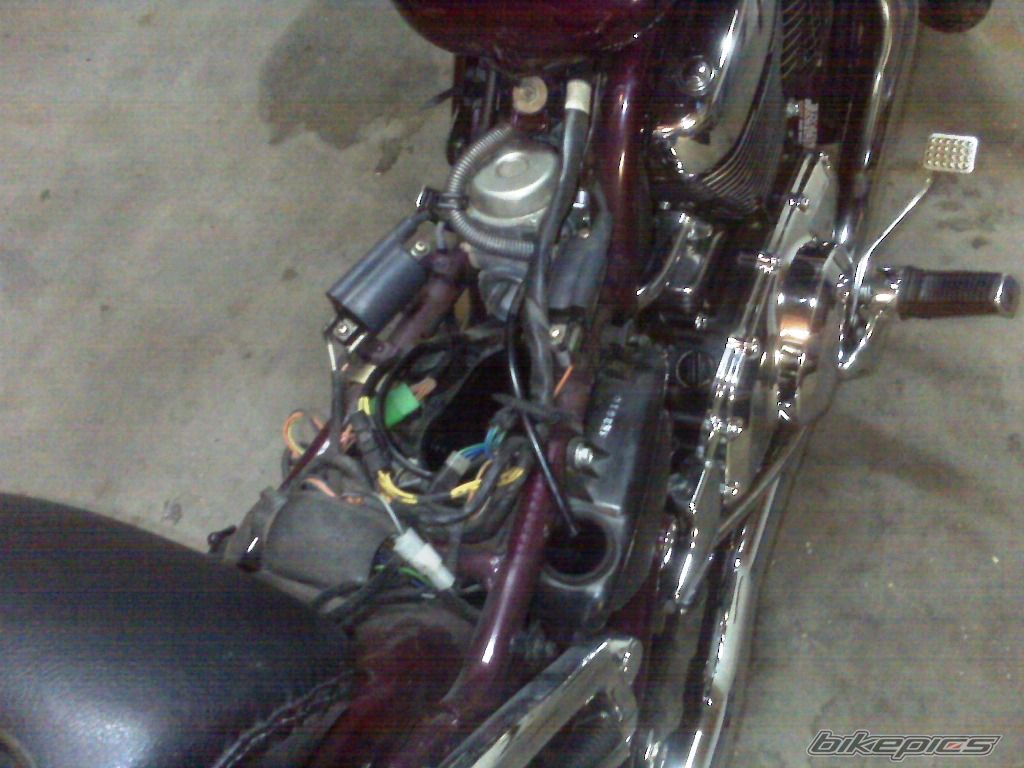 Photo 1932843