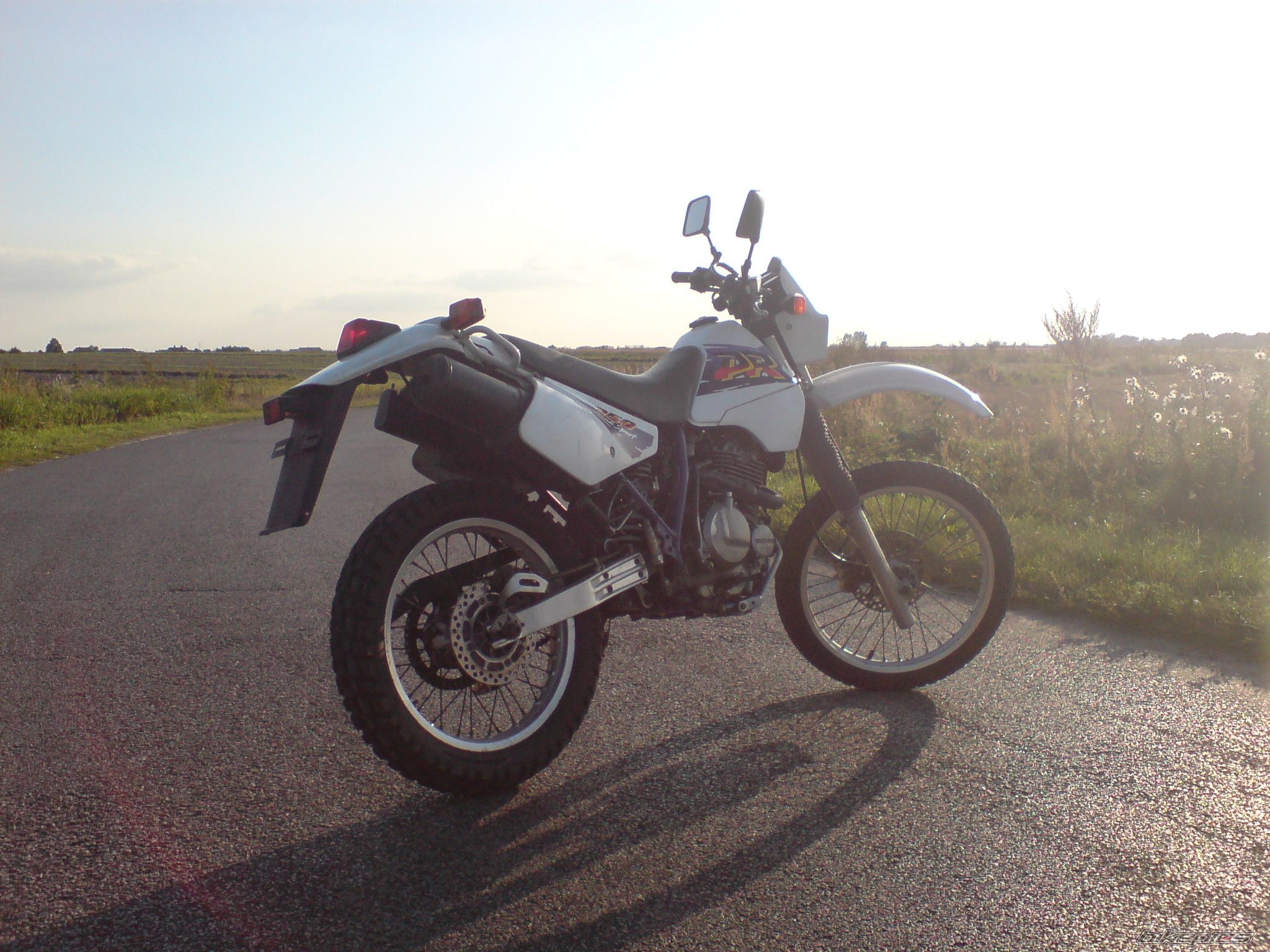 Bike Photo 1932943