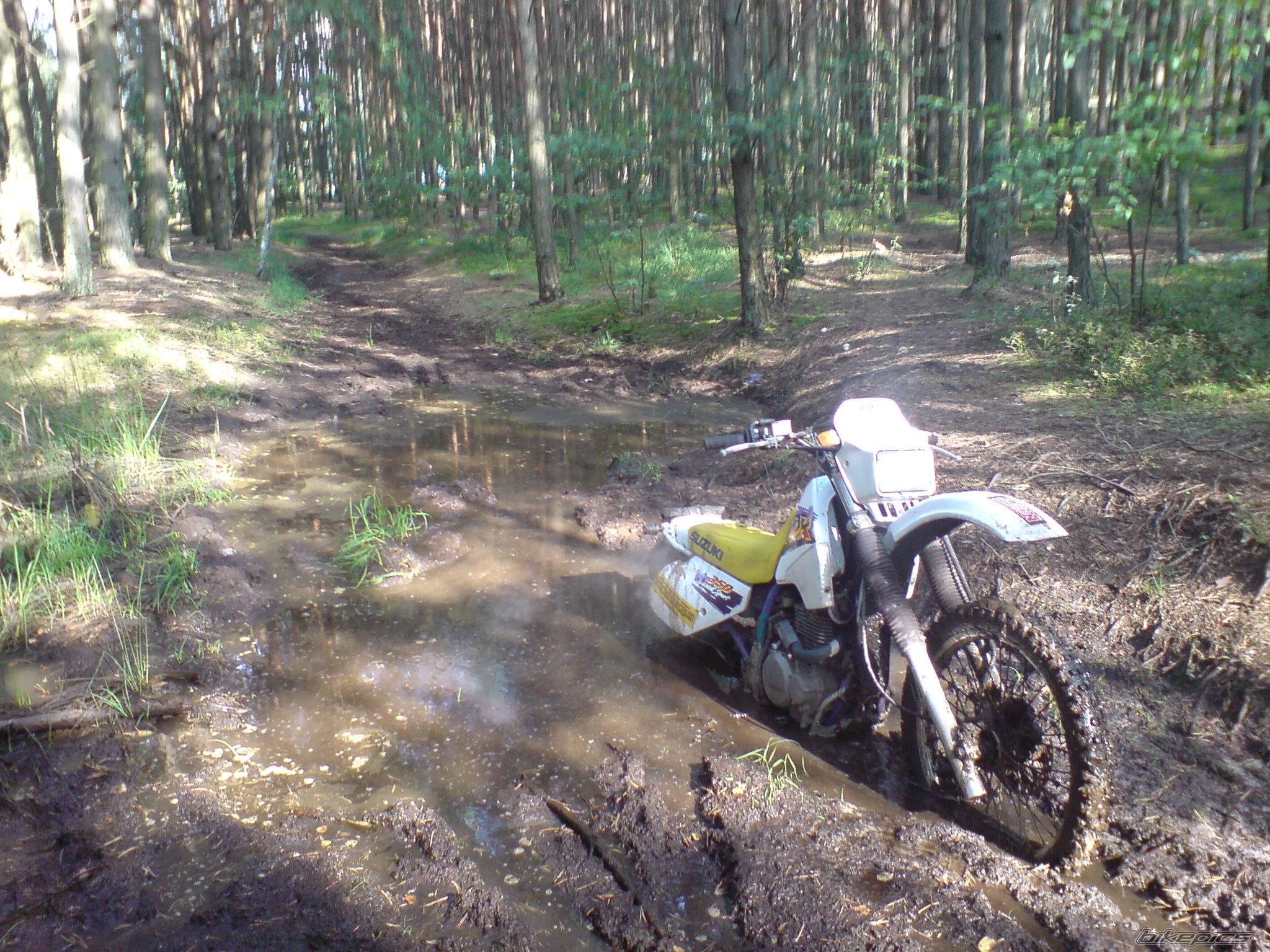 Bike Photo 1932951