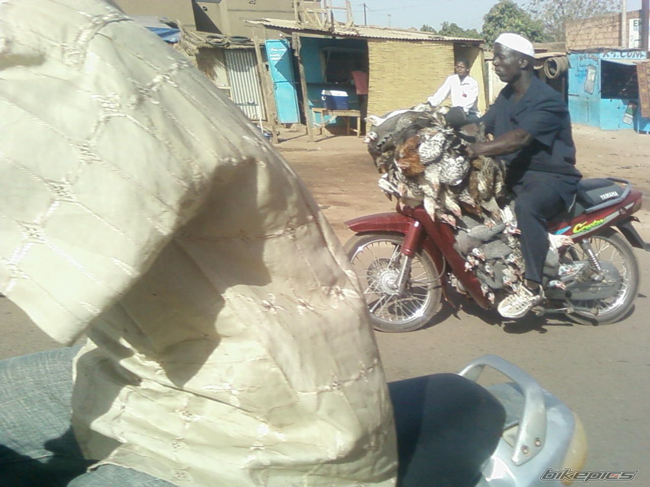 Bike Photo 1933004