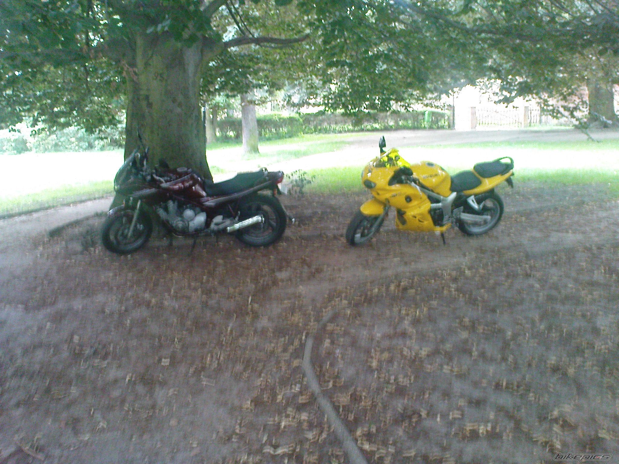 Bike Photo 1933188