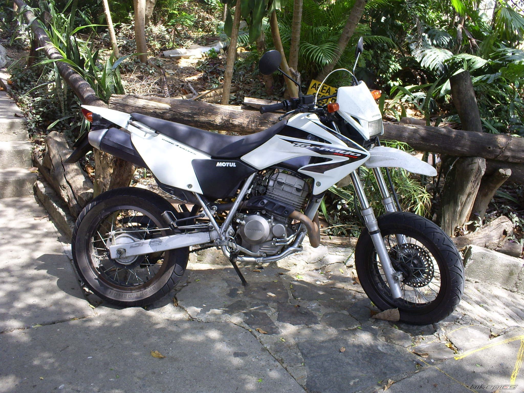Bike Photo 1933225