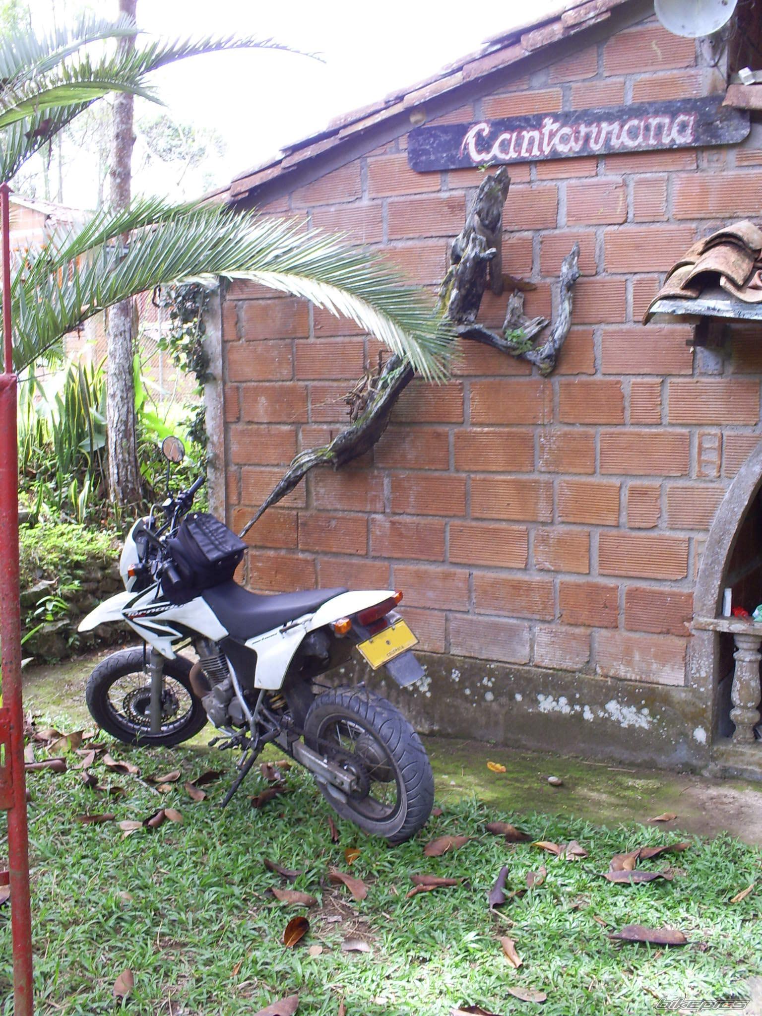 Bike Photo 1933228